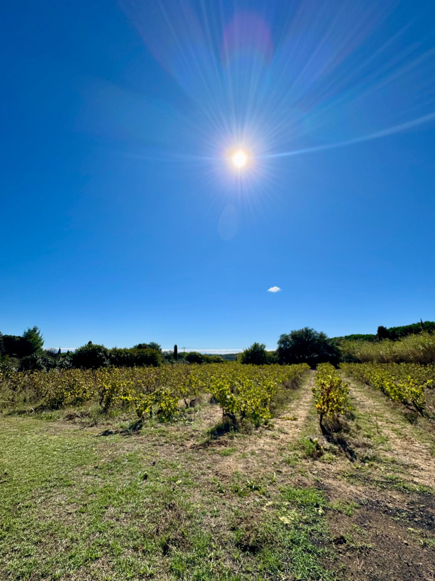 Photo 4 de l'annonce.