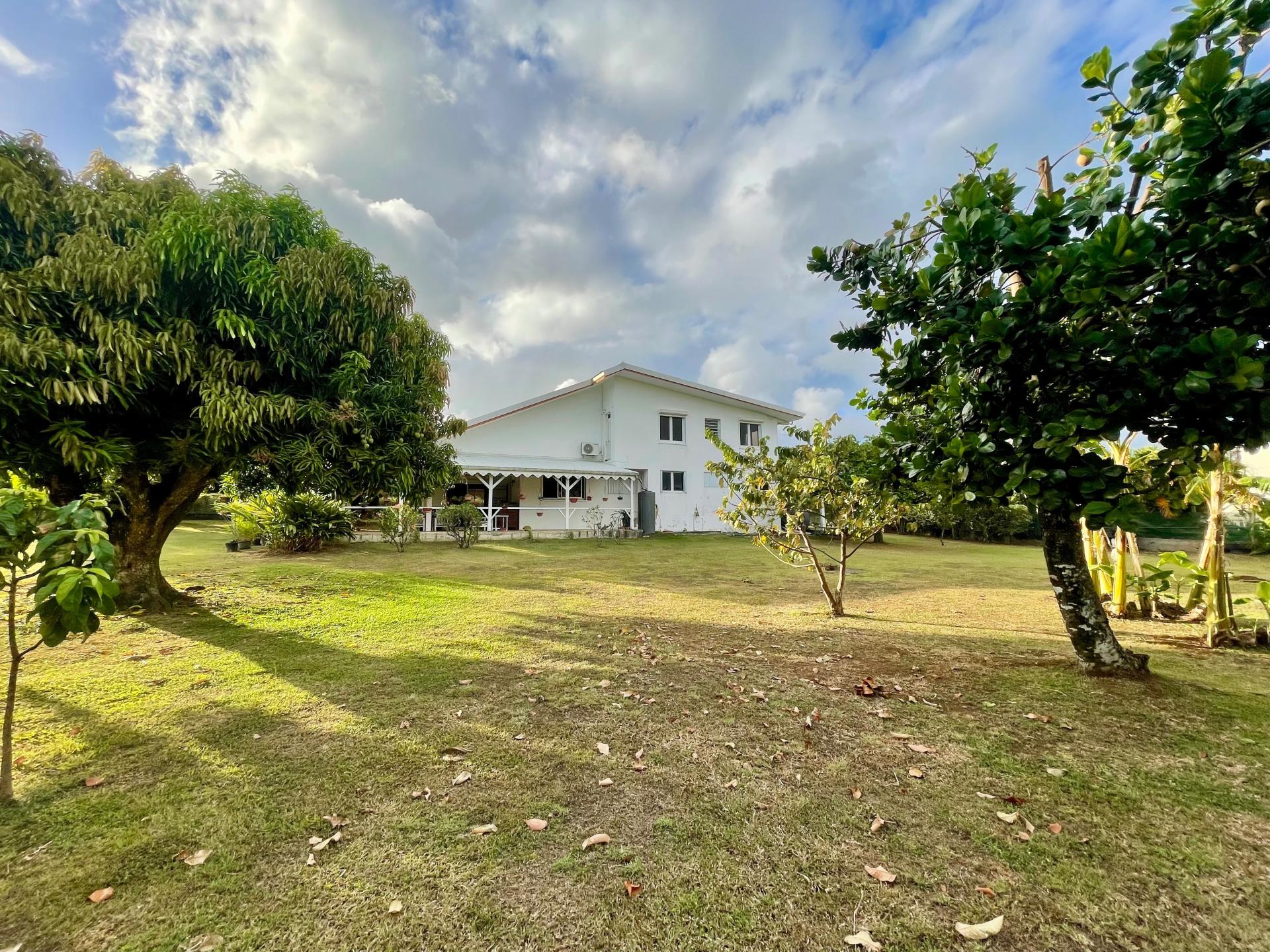 Photo 3 of the listing.