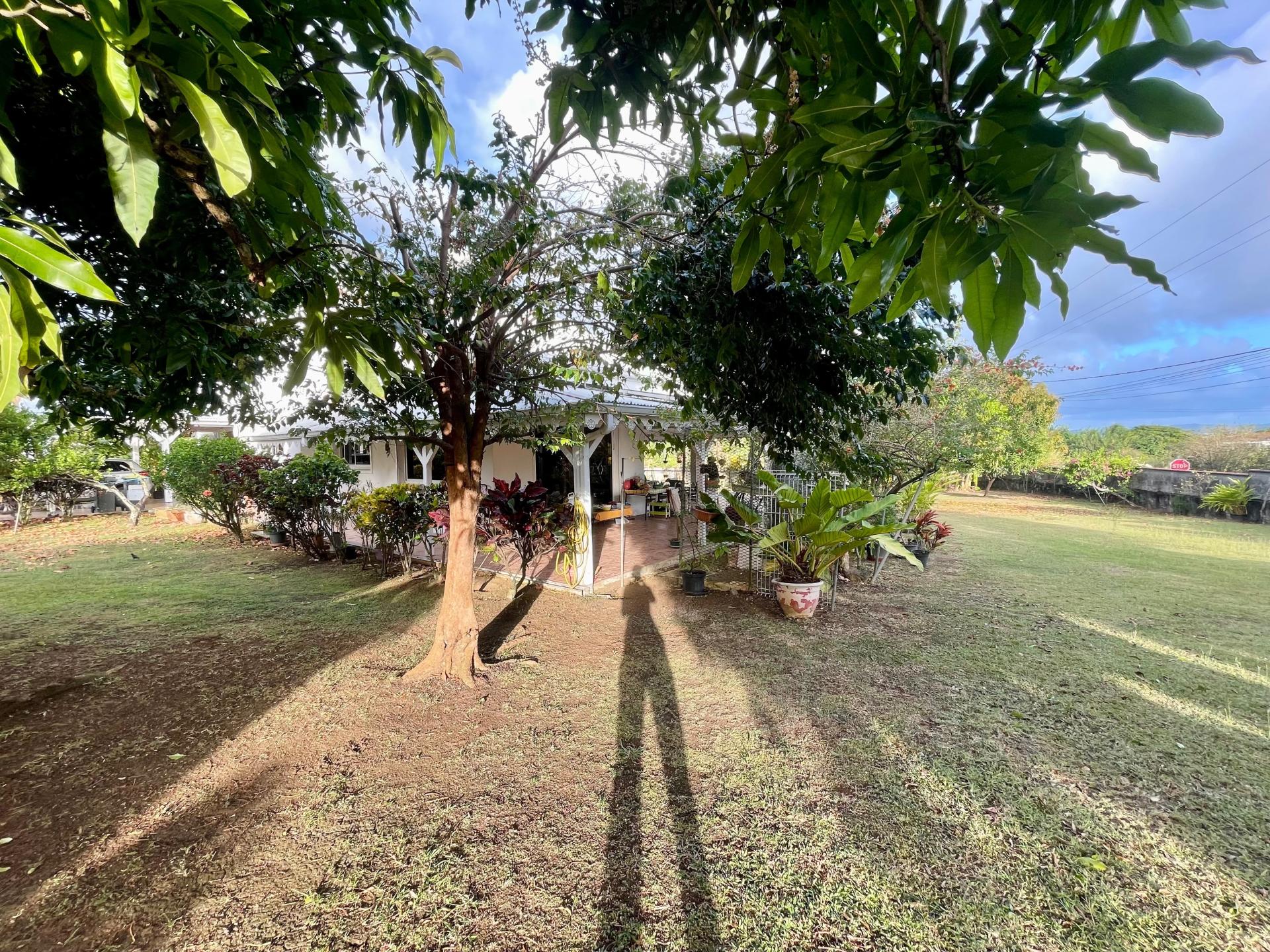 Photo 11 of the listing.