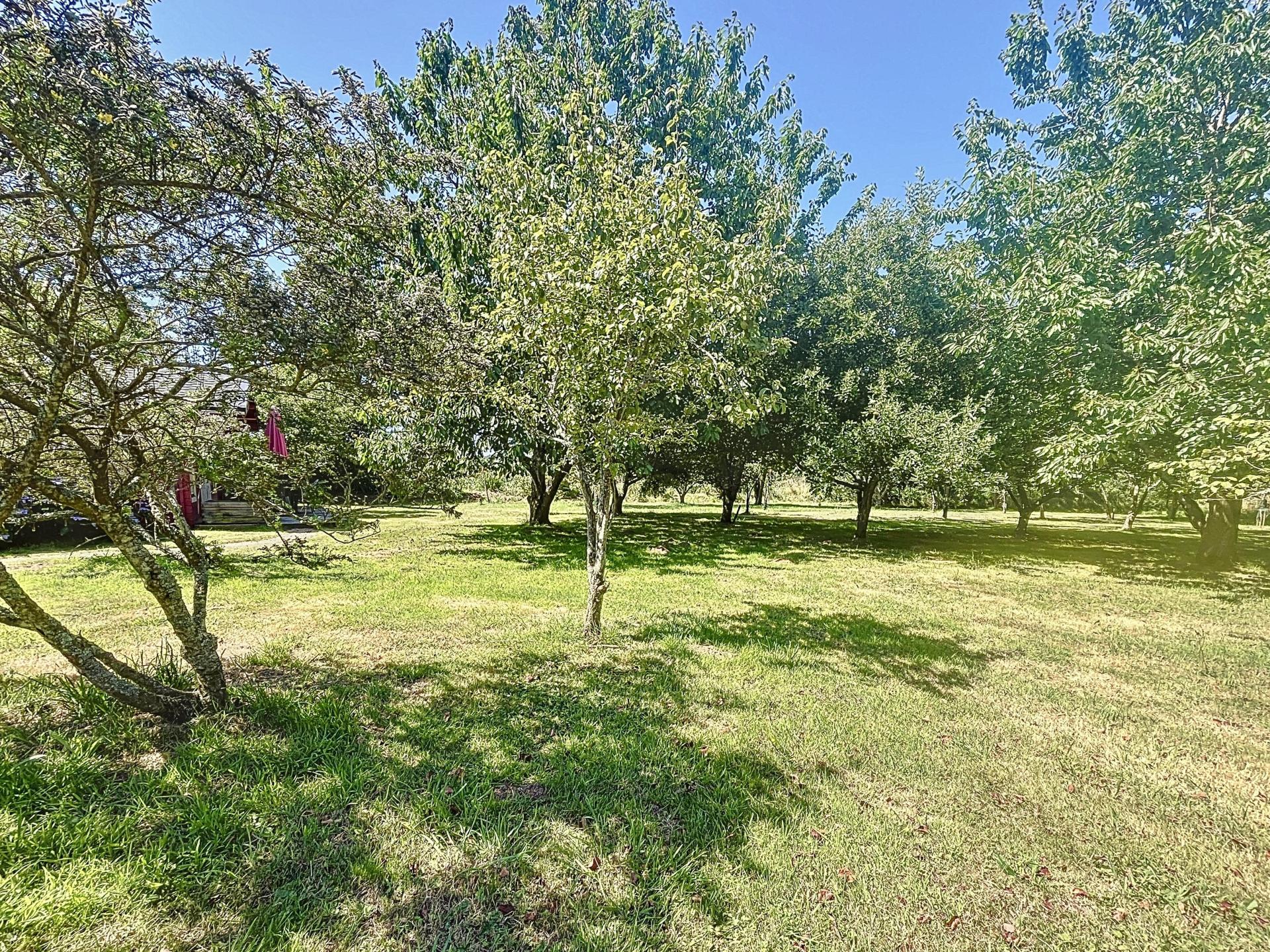 Photo 8 de l'annonce.