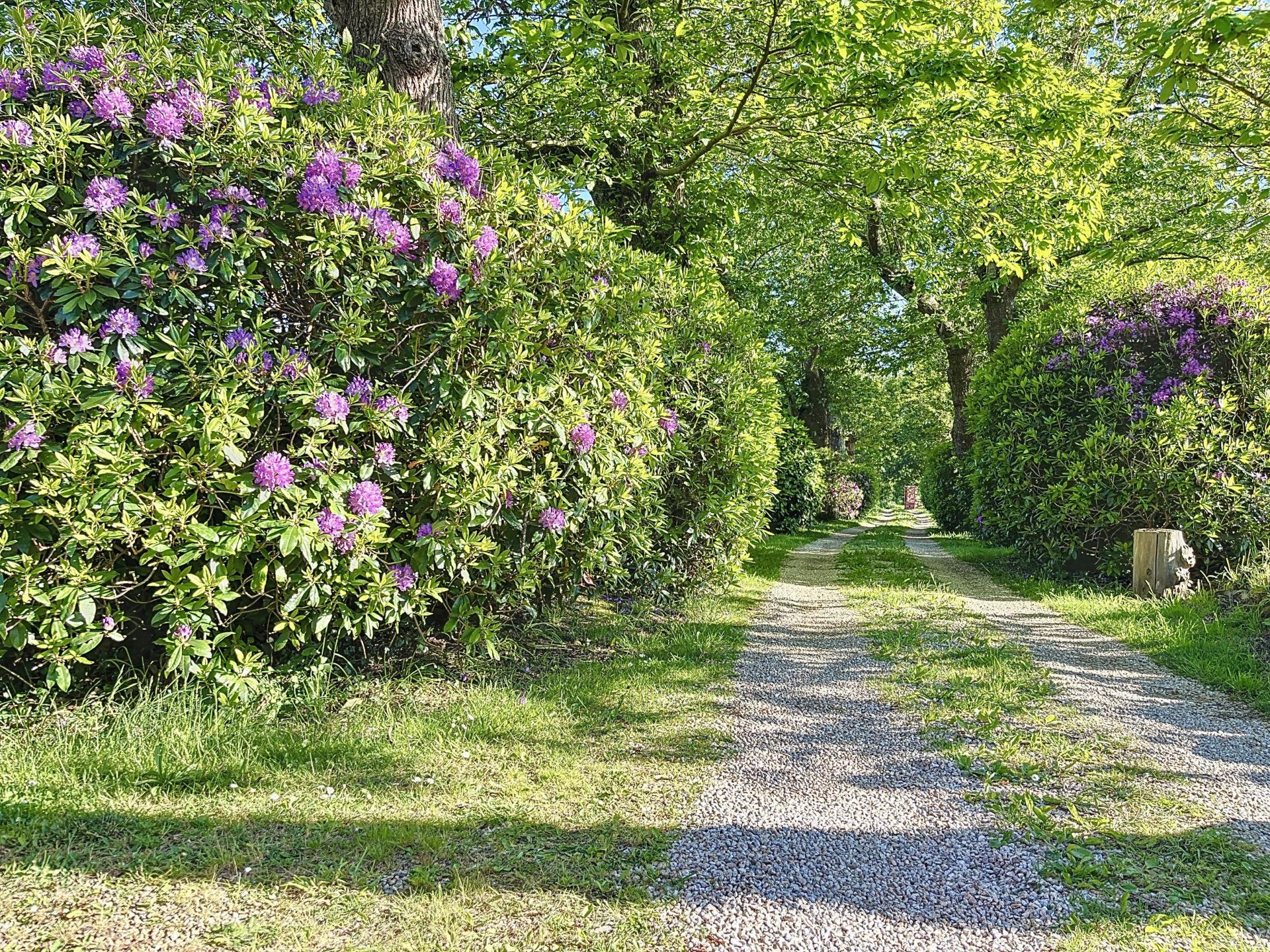 Photo 3 de l'annonce.