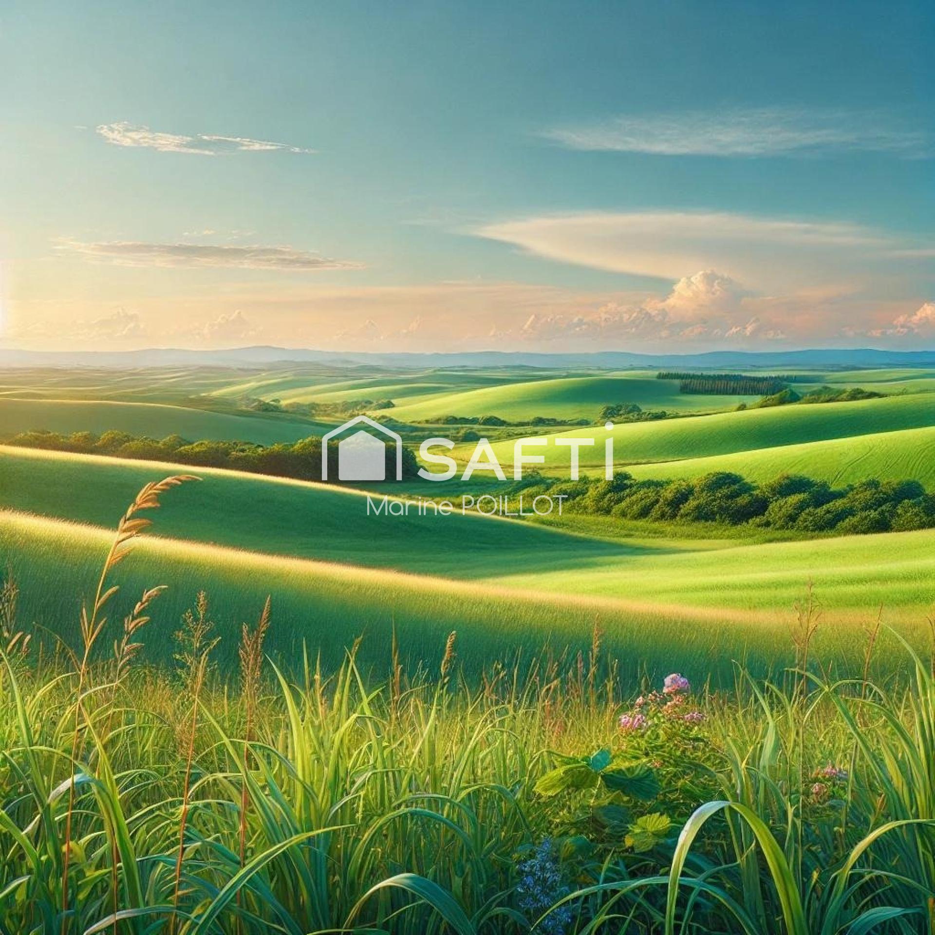 Photo-terrain