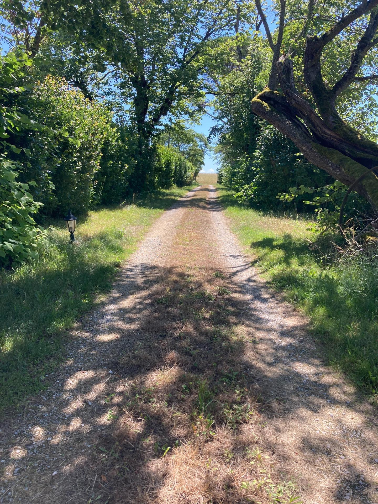 Photo 3 de l'annonce.