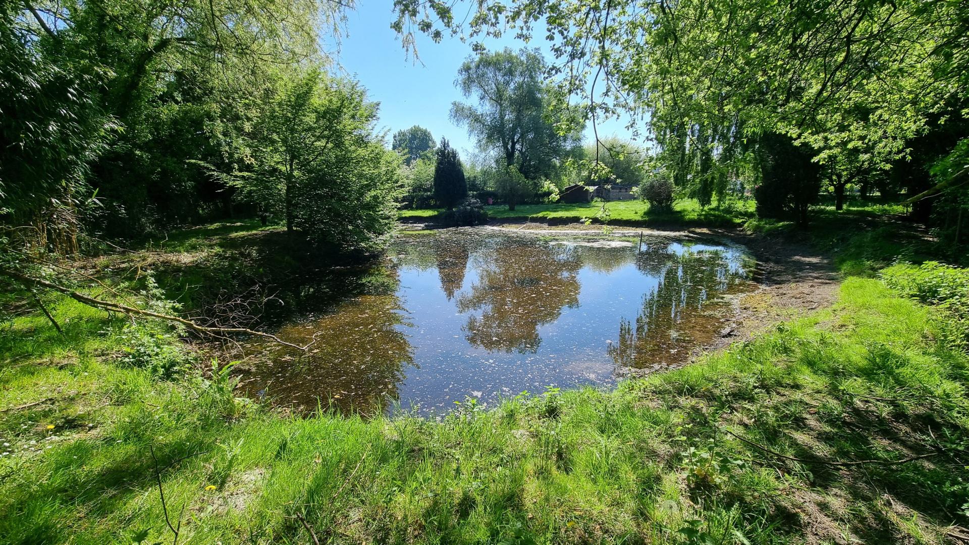 Photo 9 de l'annonce.