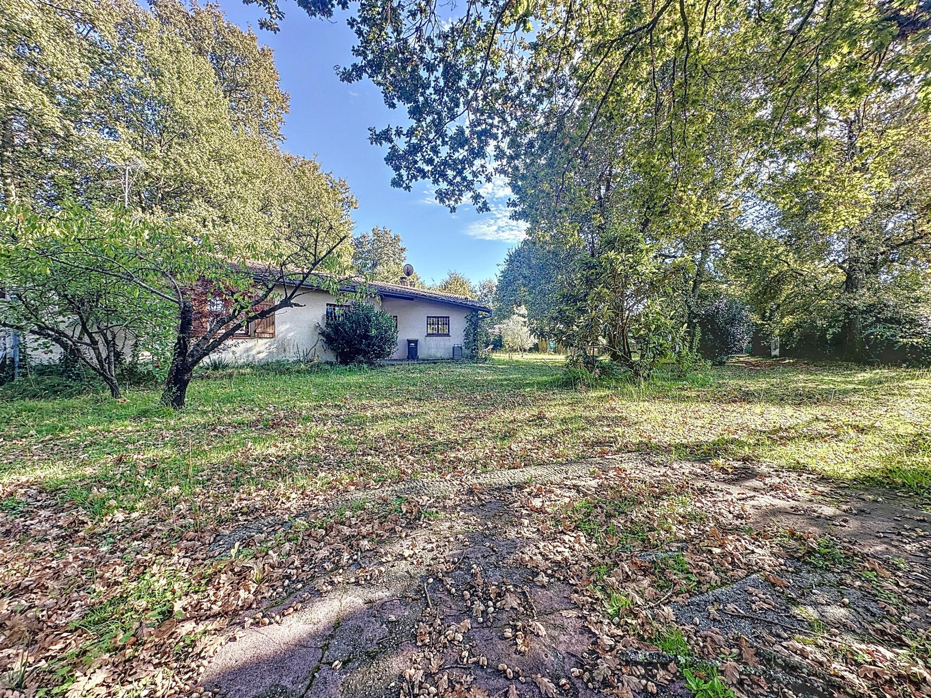 Photo 10 de l'annonce.