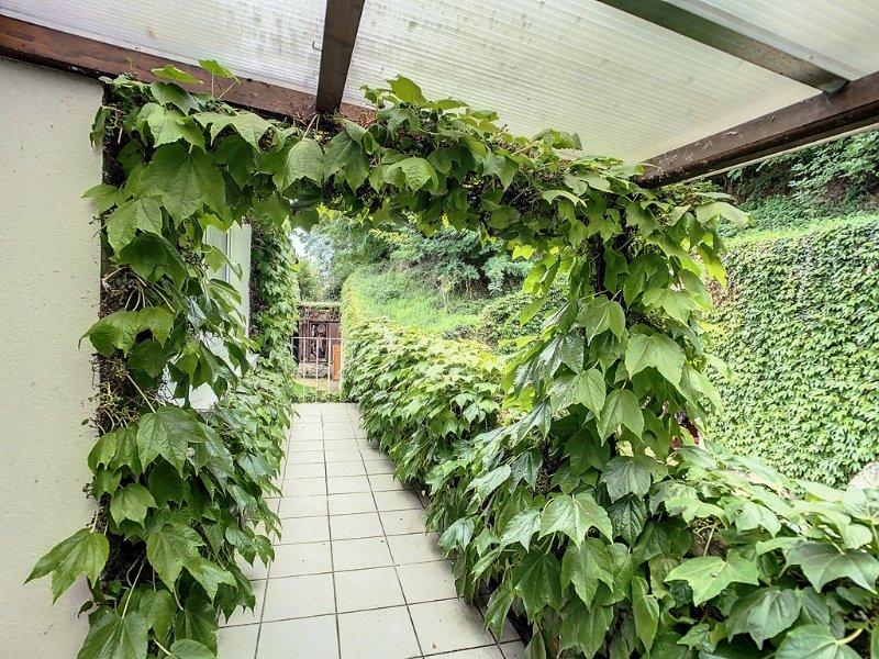 Photo 18 de l'annonce.