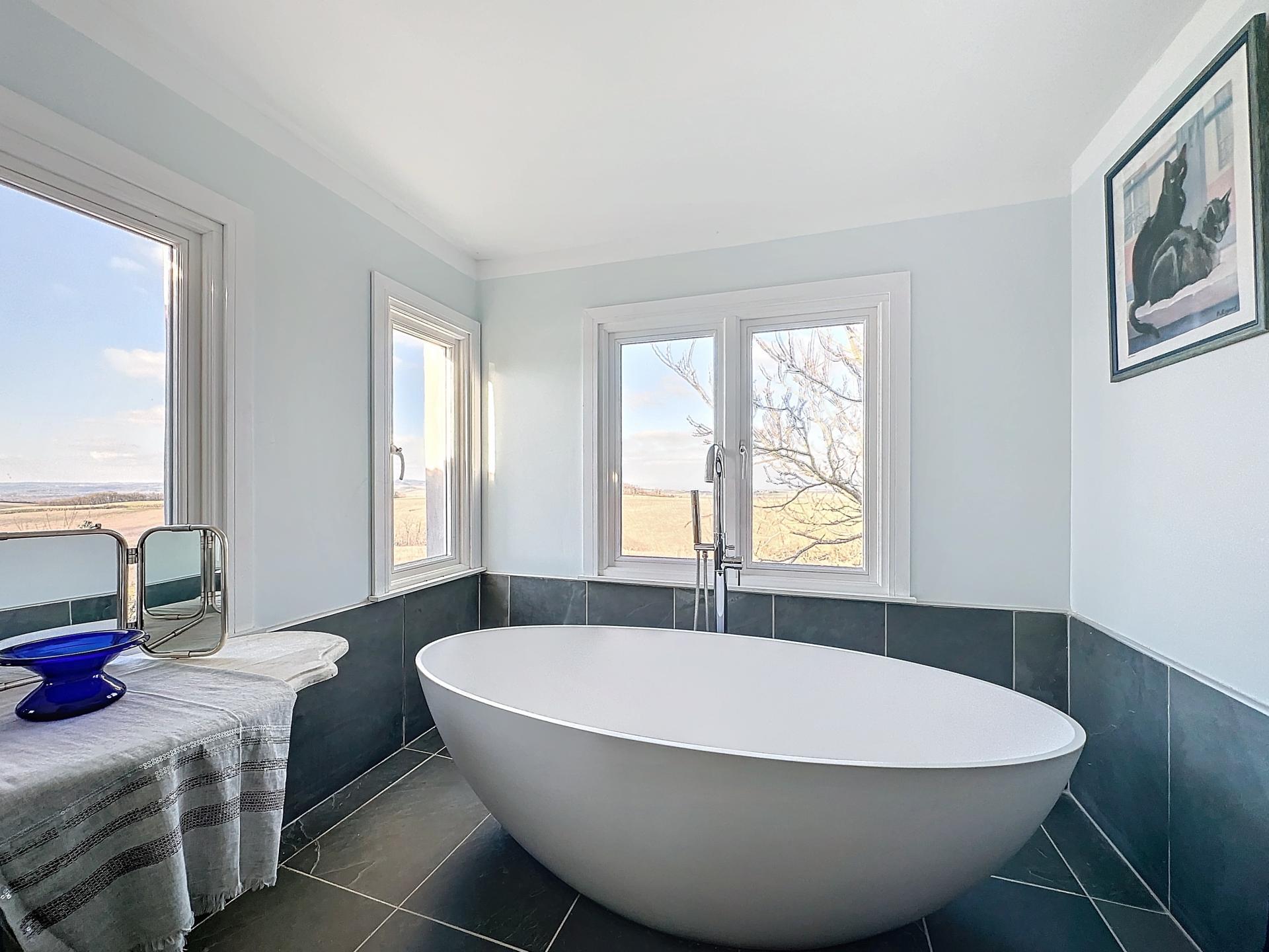 Photo 10 de l'annonce.