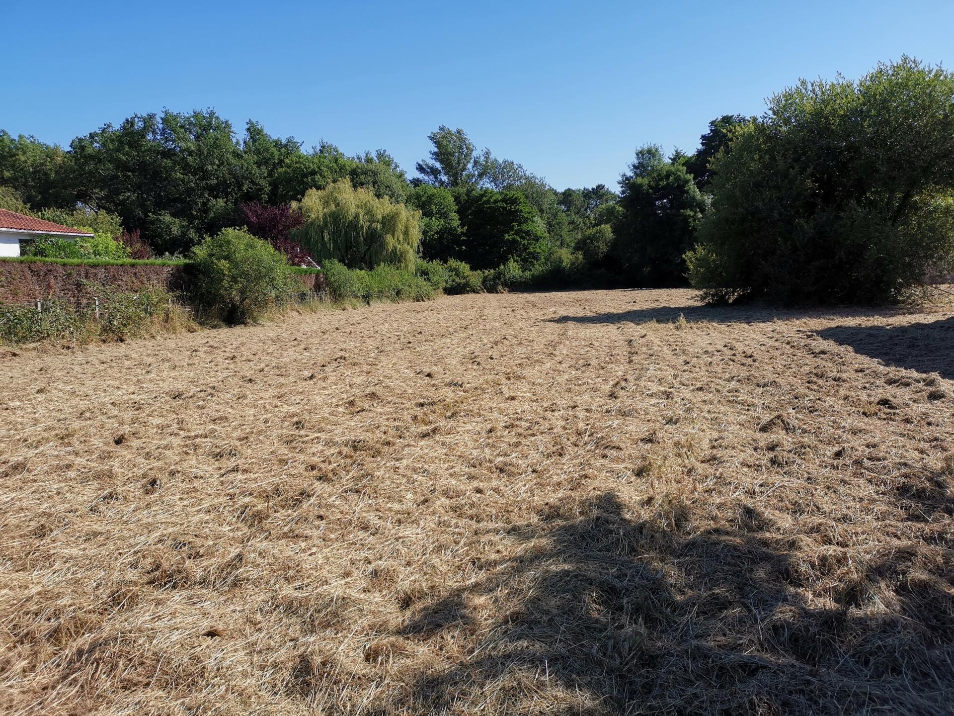 Photo-terrain