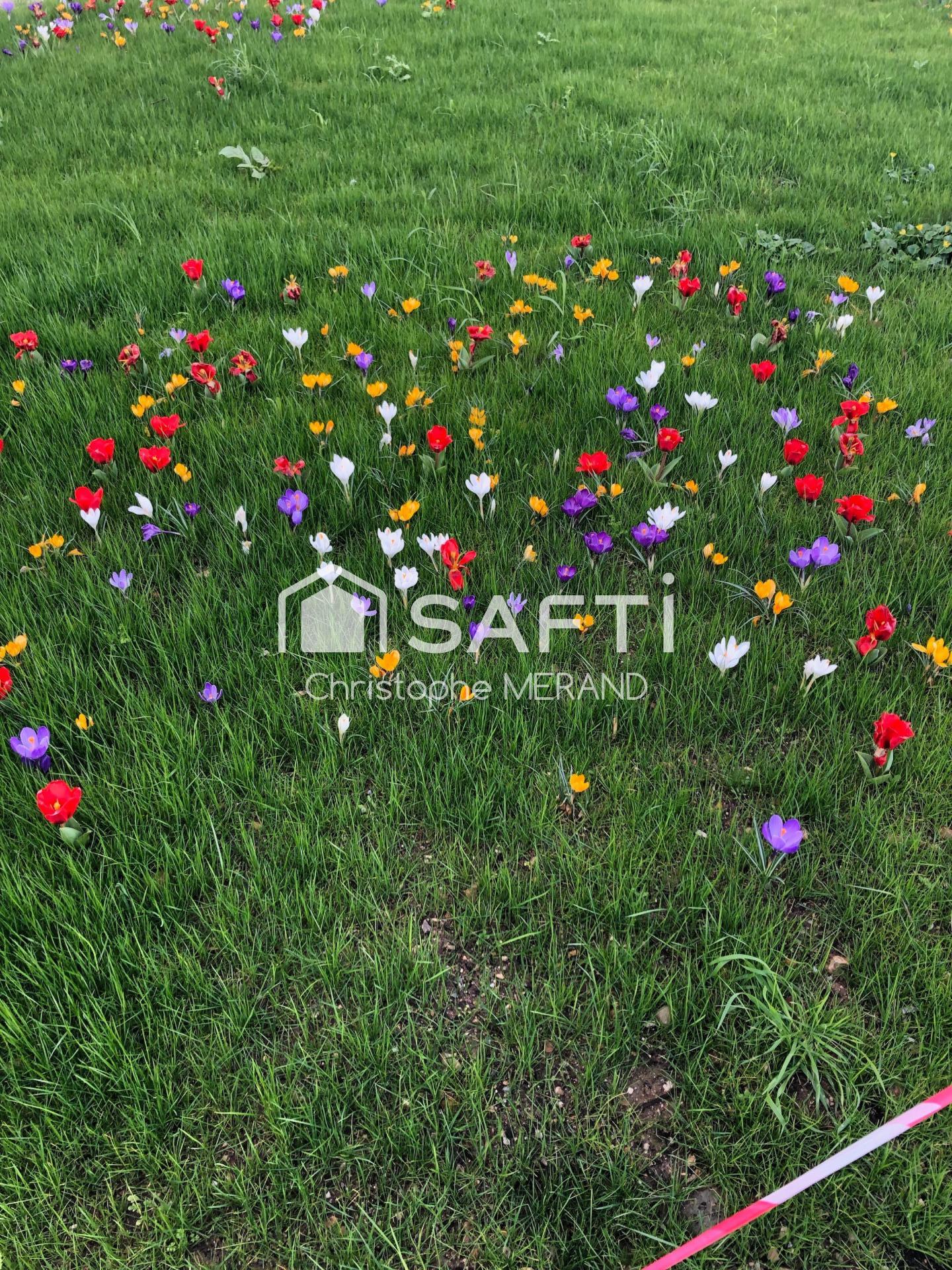 Photo-terrain