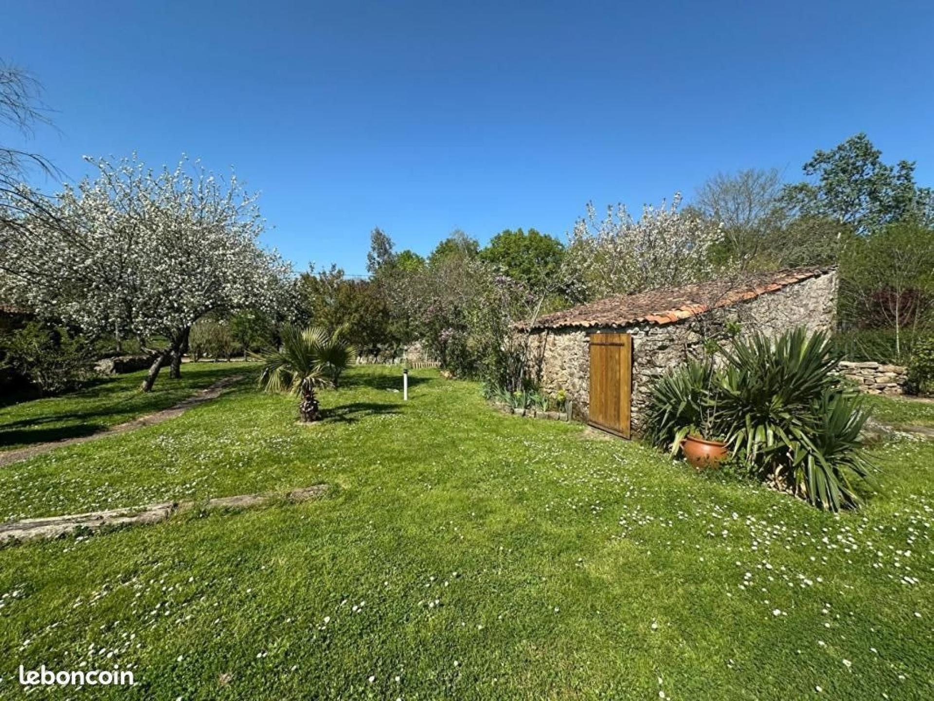 Photo 13 de l'annonce.