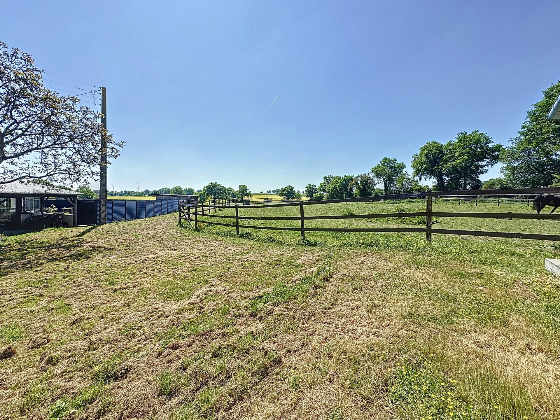 Photo 10 de l'annonce.