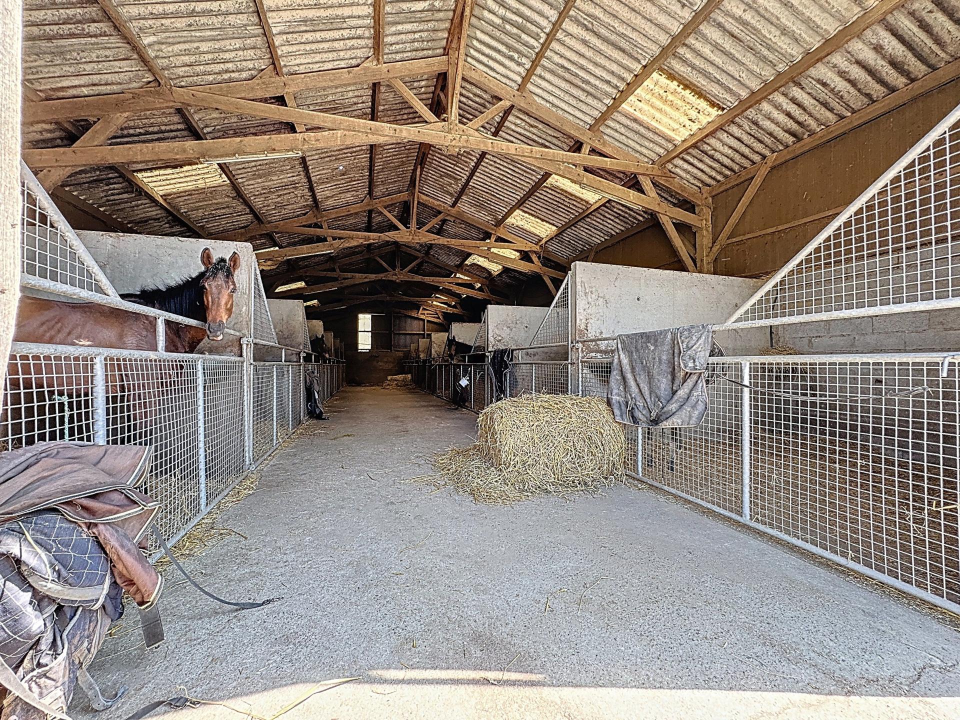 Photo 9 de l'annonce.