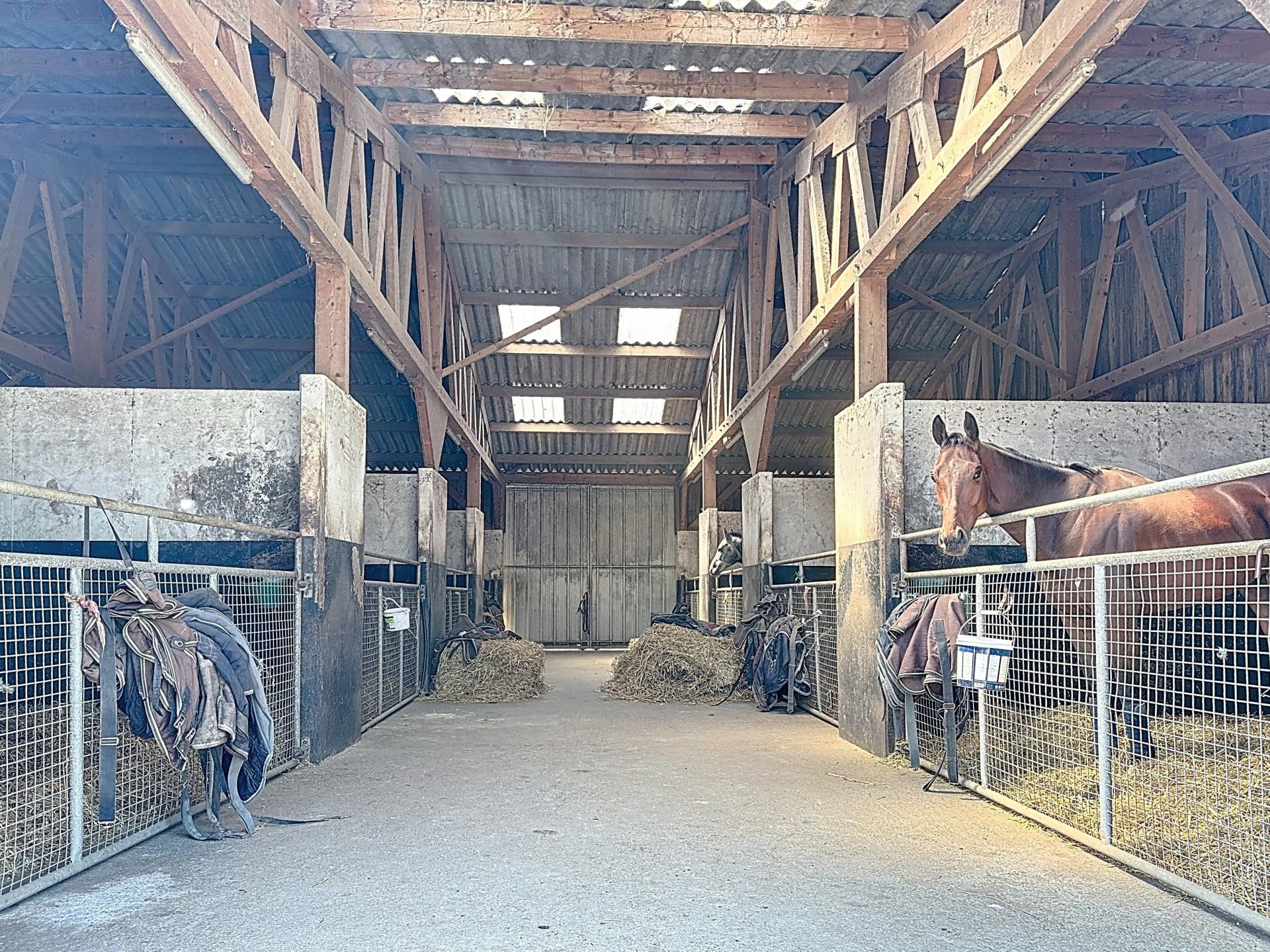 Photo 8 de l'annonce.