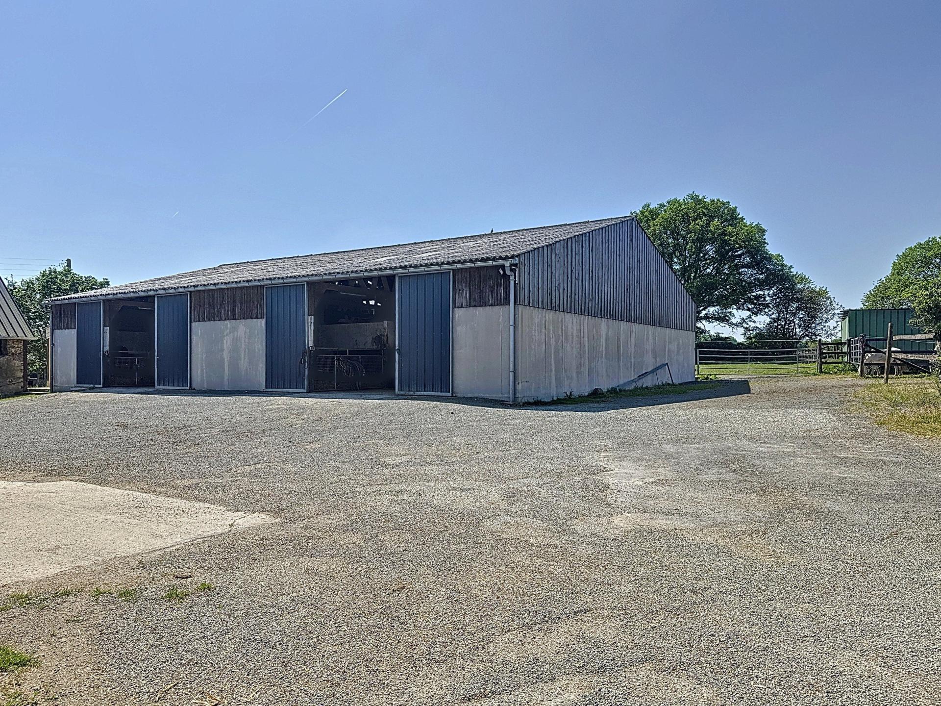 Photo 11 de l'annonce.