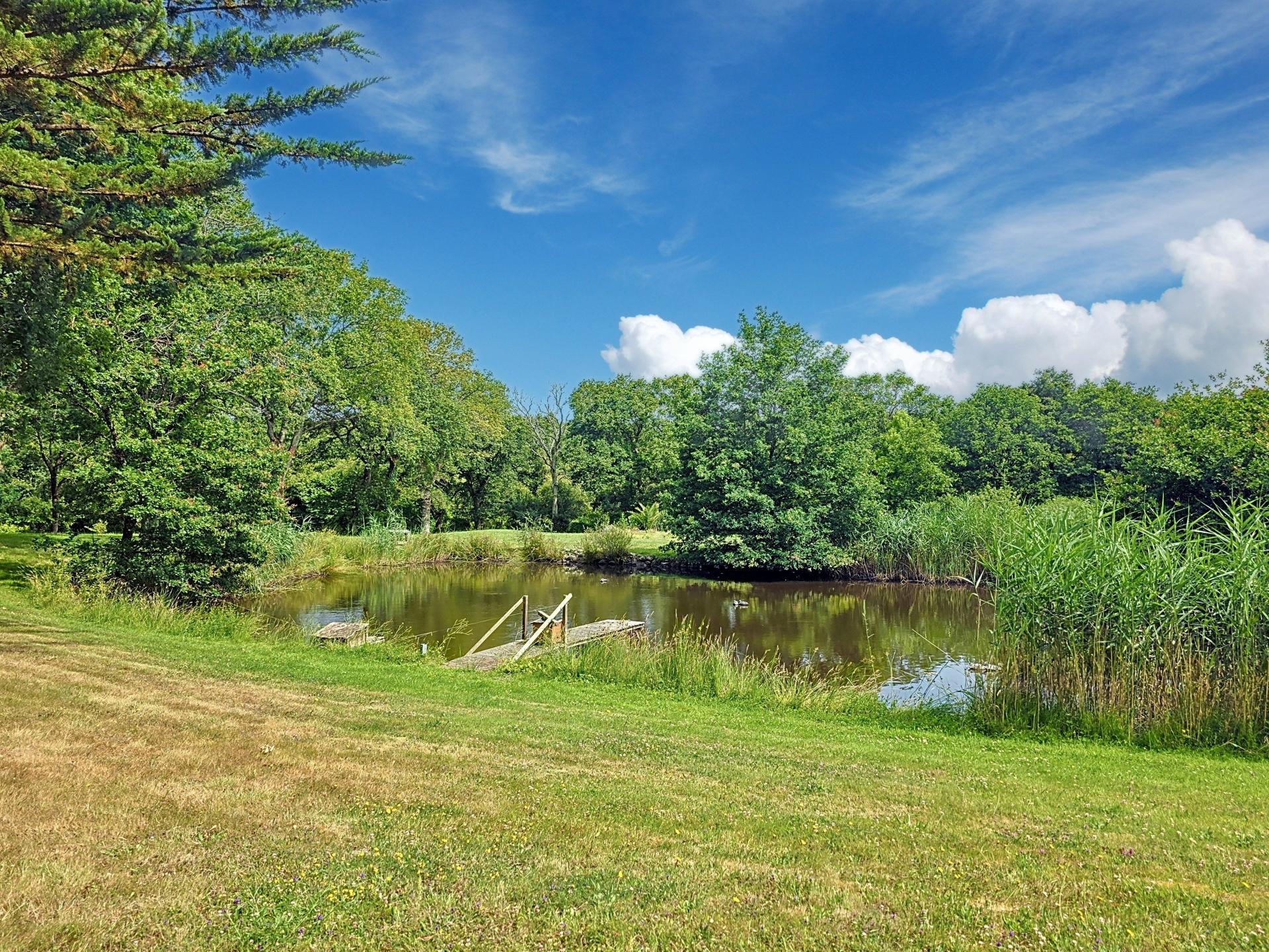 Photo 4 de l'annonce.