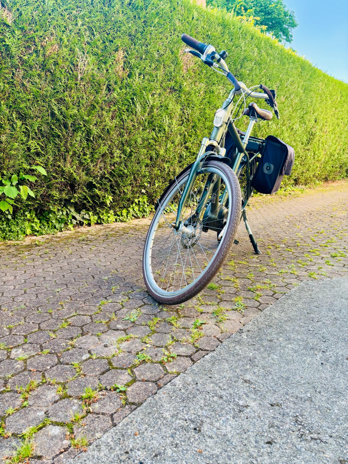 Photo 5 de l'annonce.