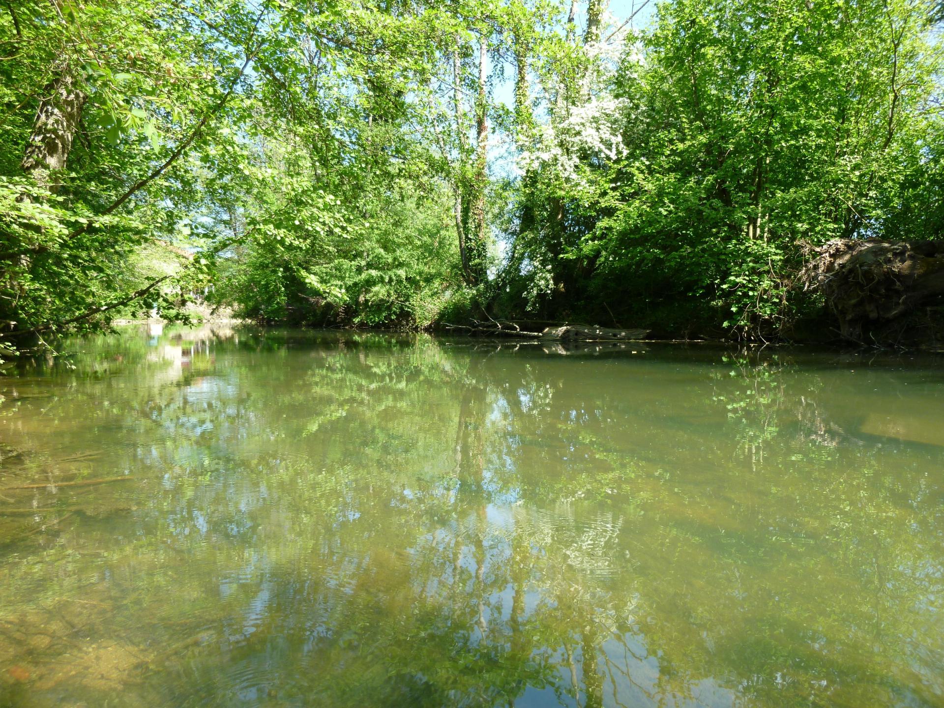 Photo 6 de l'annonce.