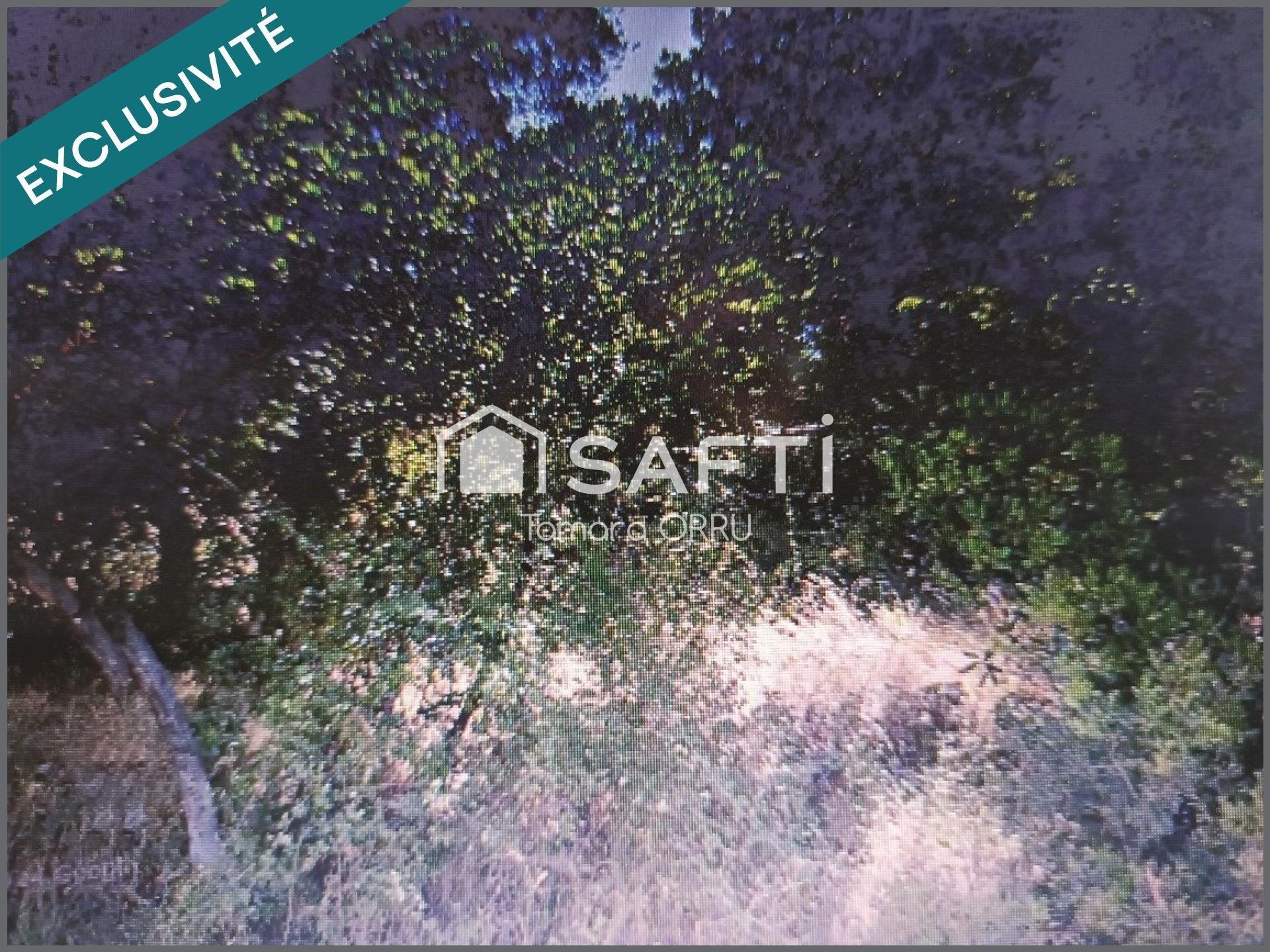 Photographie descriptive du bien