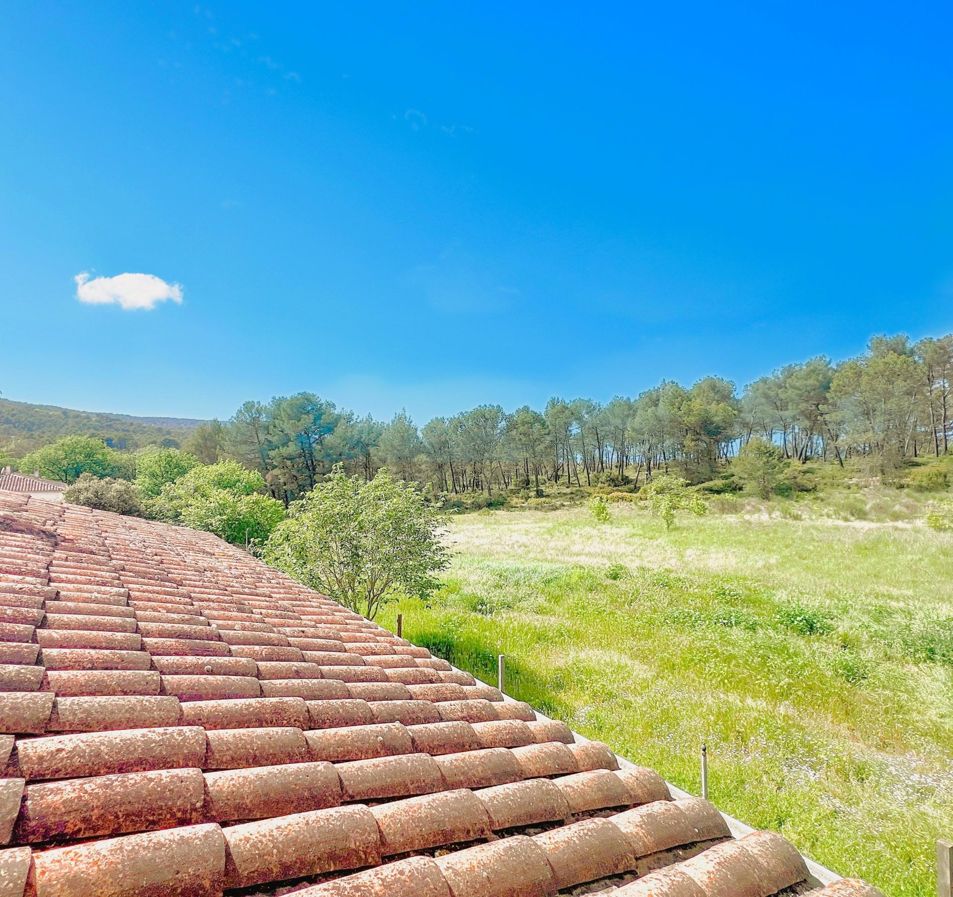 Photo 9 de l'annonce.