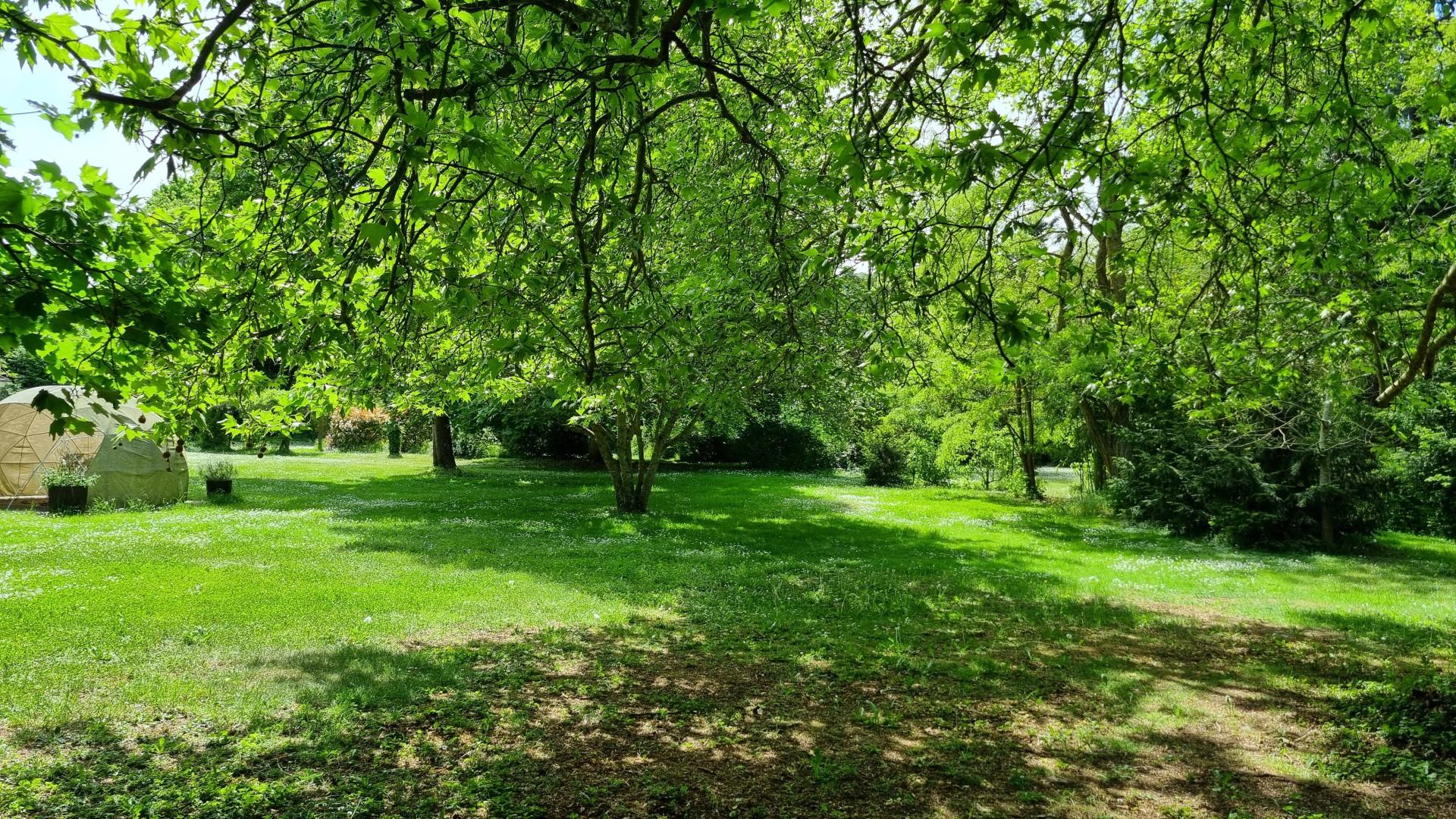 Photo 9 of the listing.