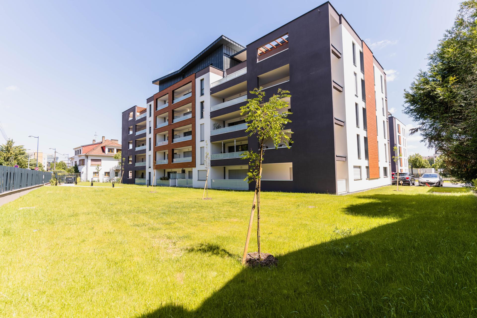 Photo 2 de l'annonce.