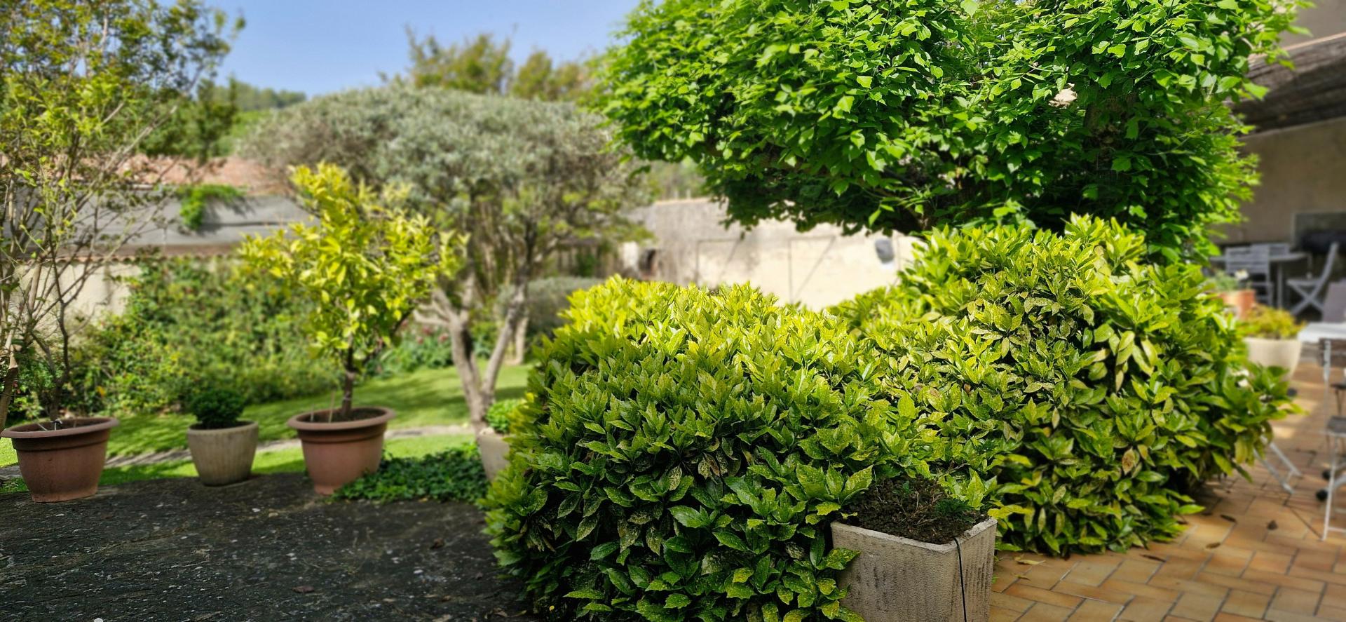 Photo 5 de l'annonce.