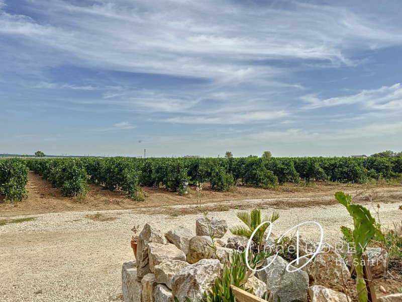 Photo 13 de l'annonce.