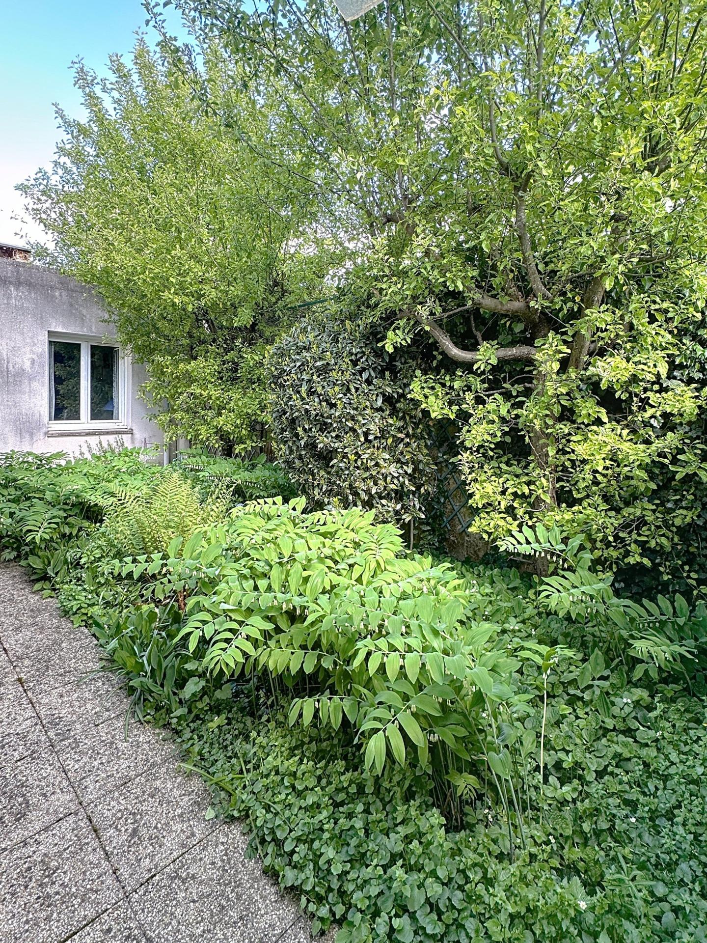 Photo 9 de l'annonce.