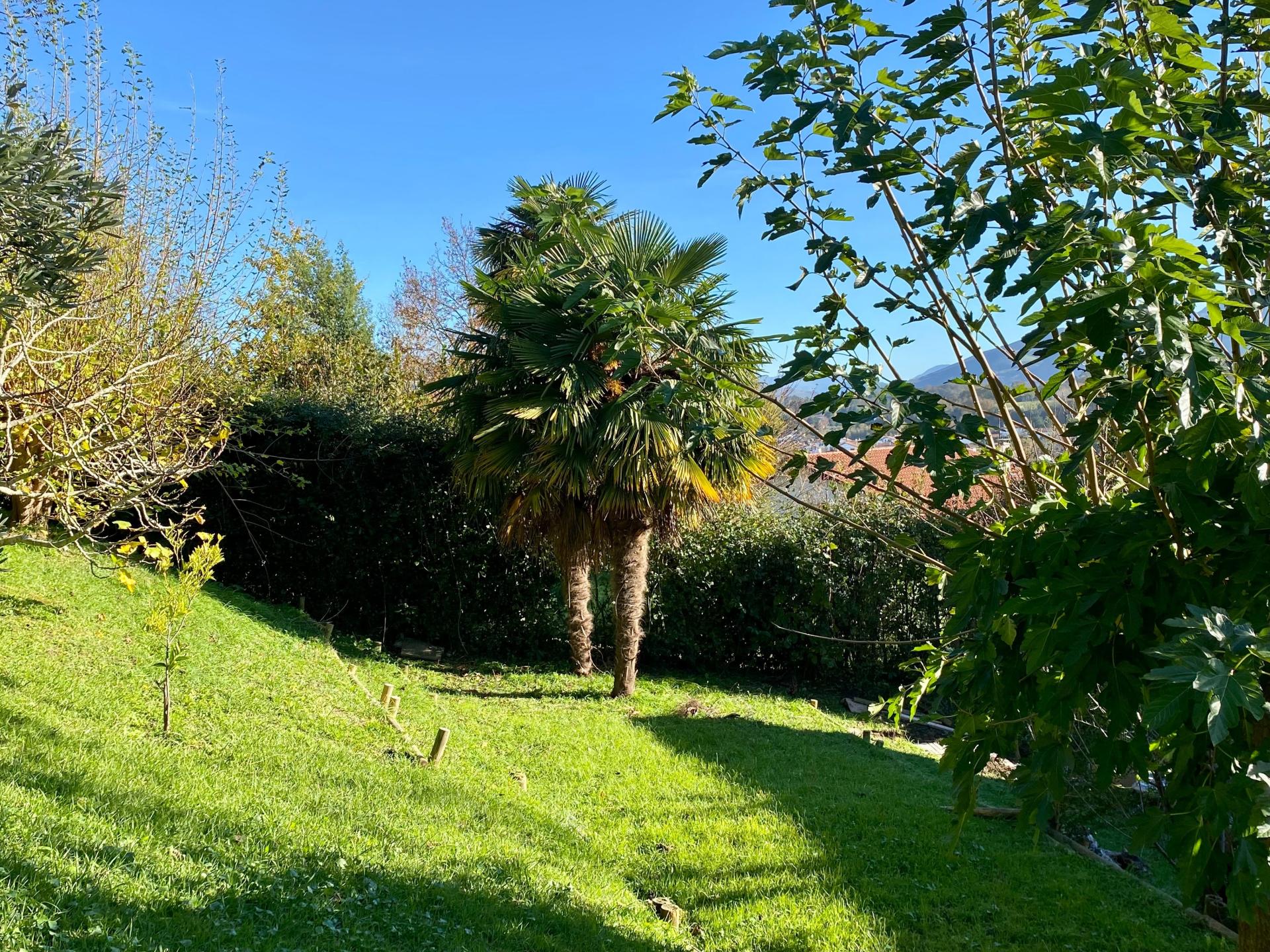 Photo 7 de l'annonce.