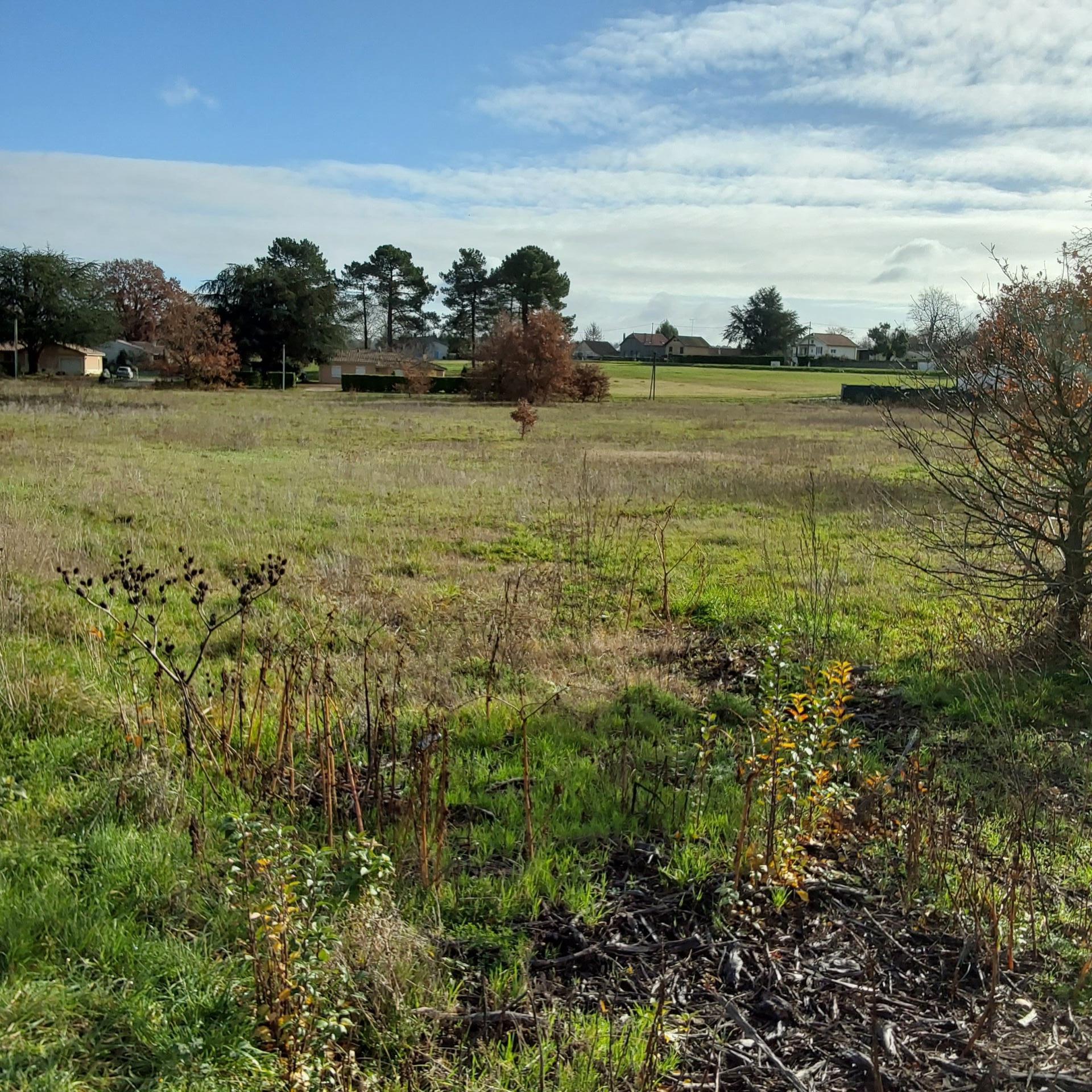 Photo-terrain