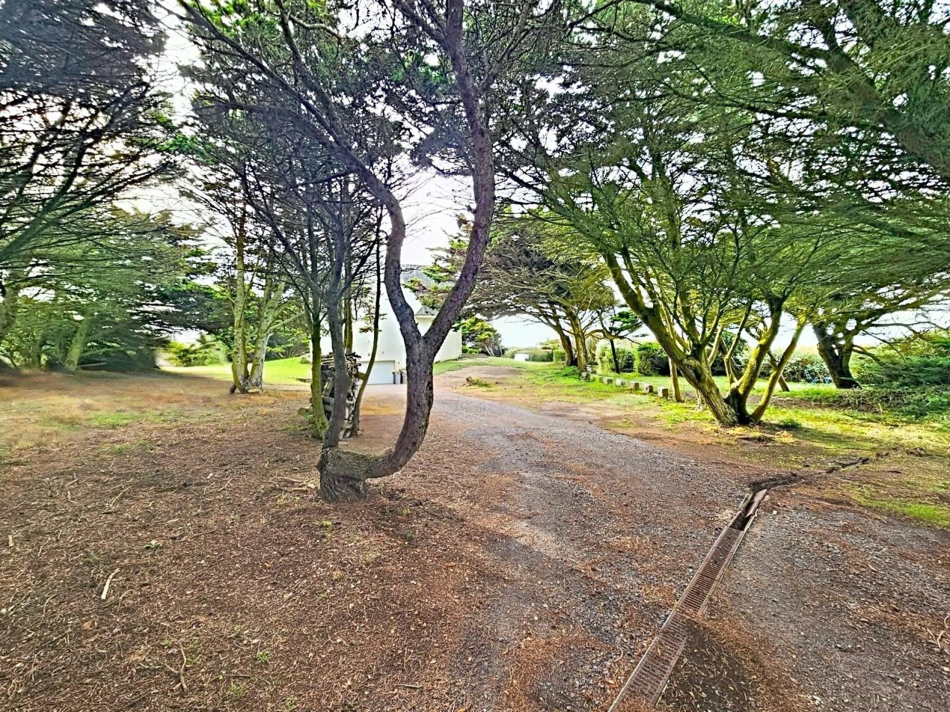 Photo 18 de l'annonce.