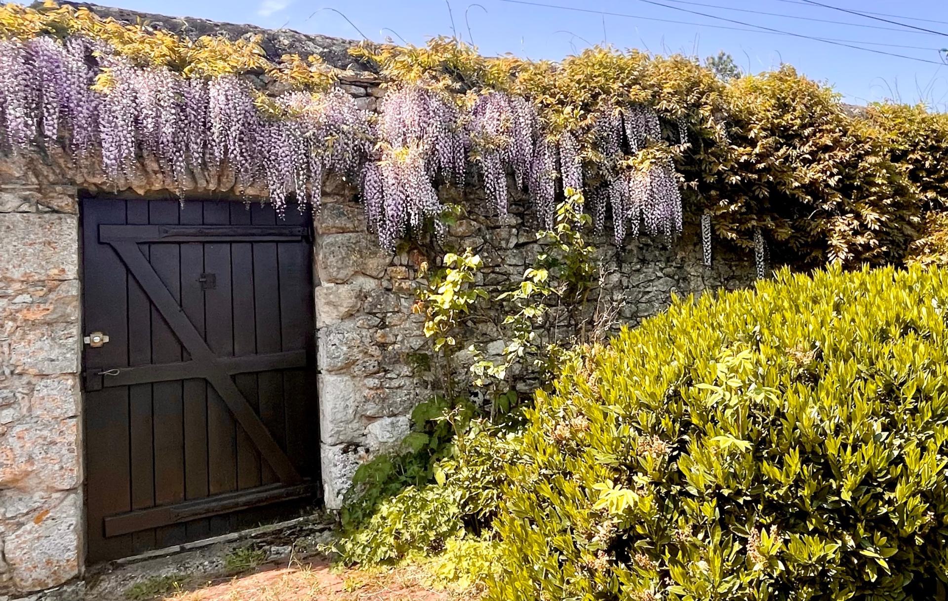 Photo 18 de l'annonce.