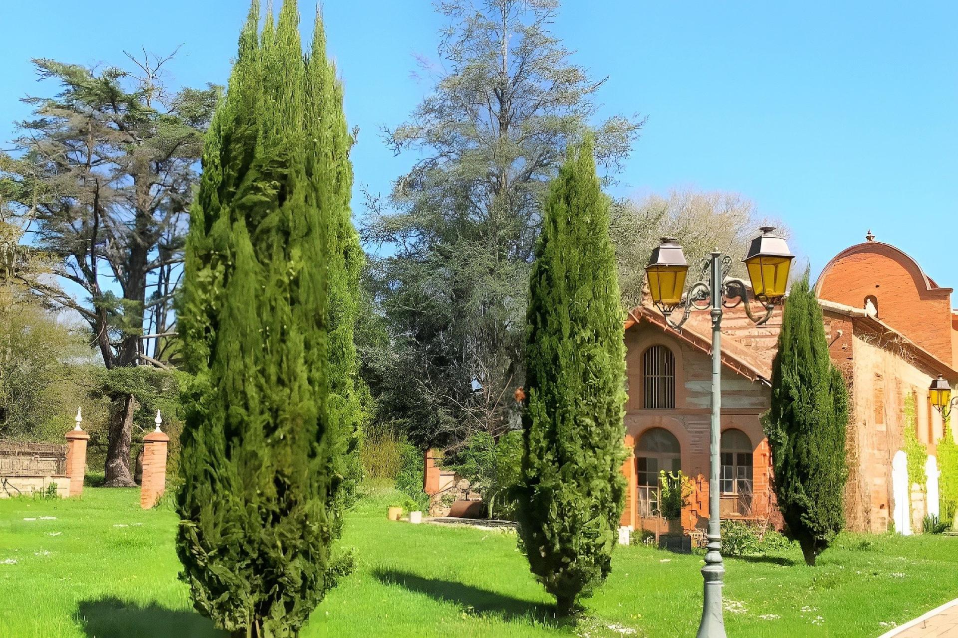 Photo 11 of the listing.