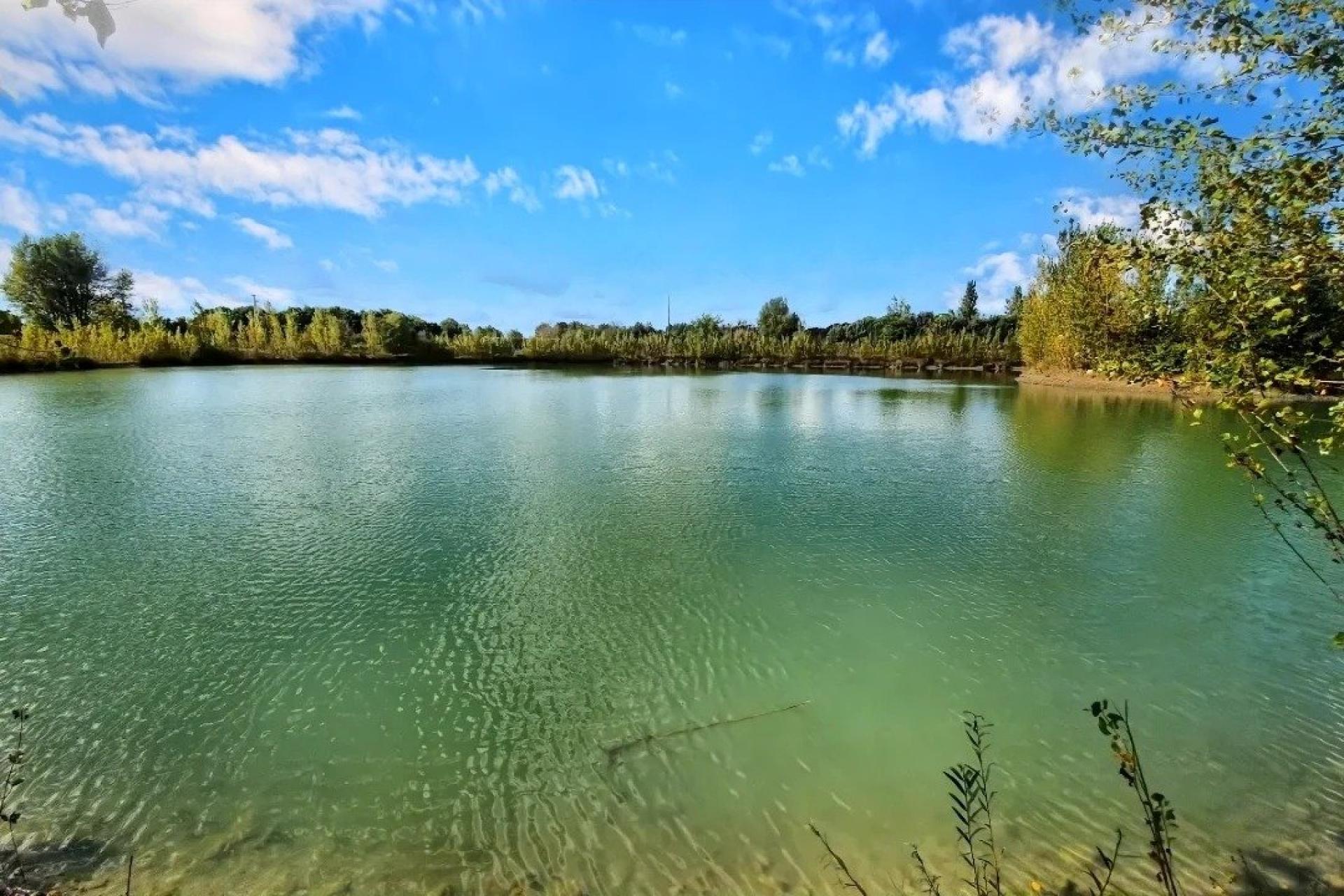 Photo 10 of the listing.