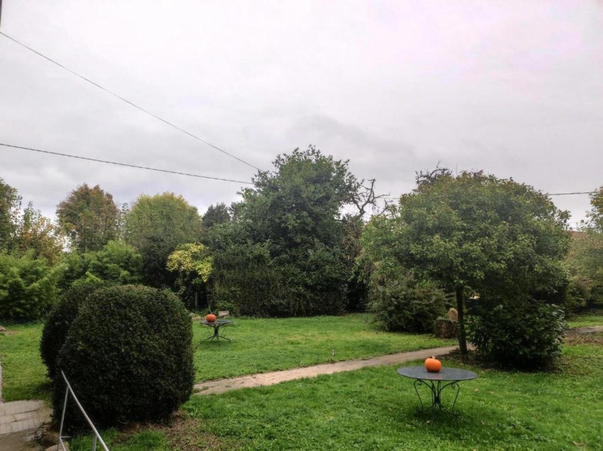 Photo 6 de l'annonce.