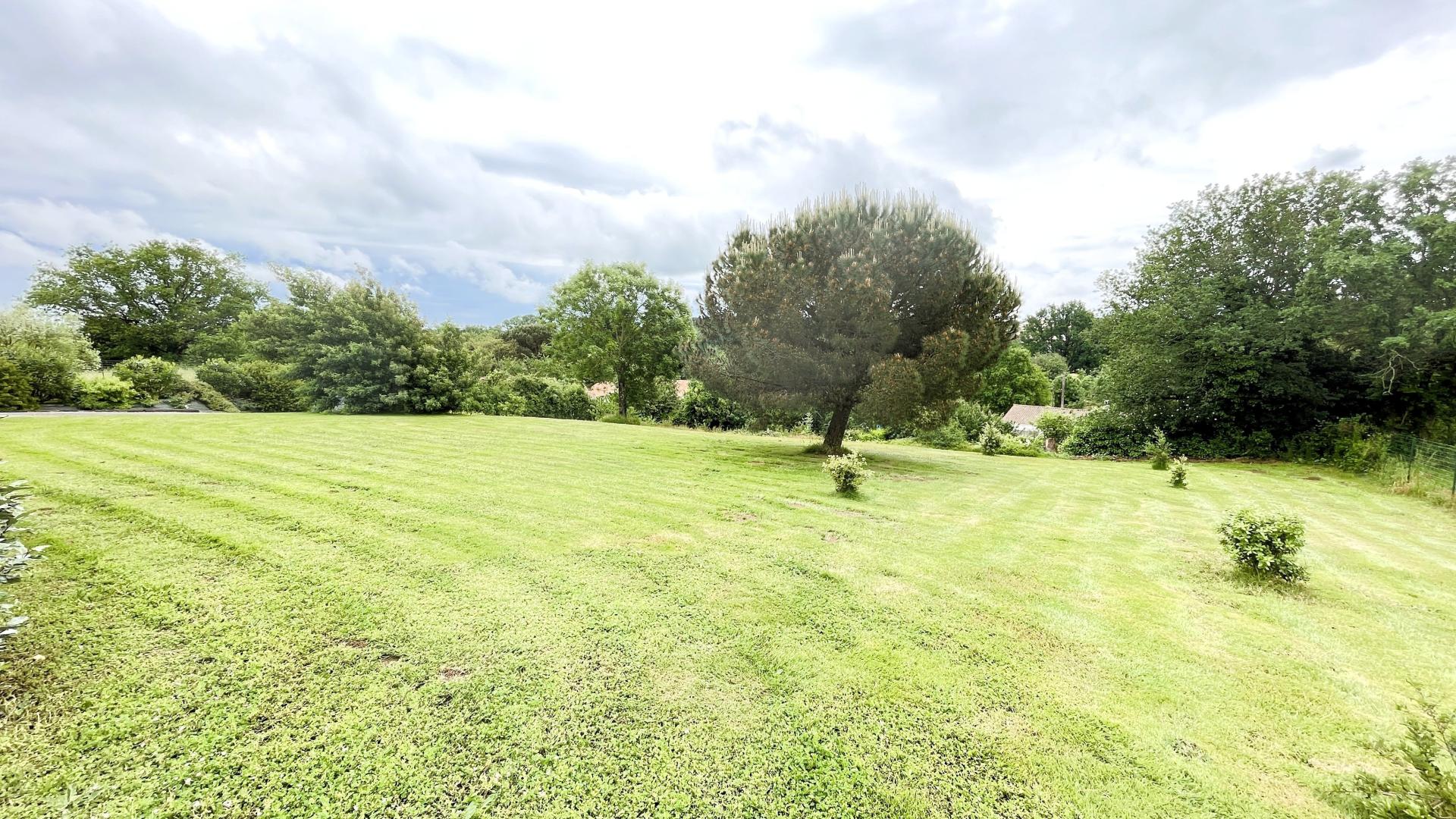 Photo 11 de l'annonce.