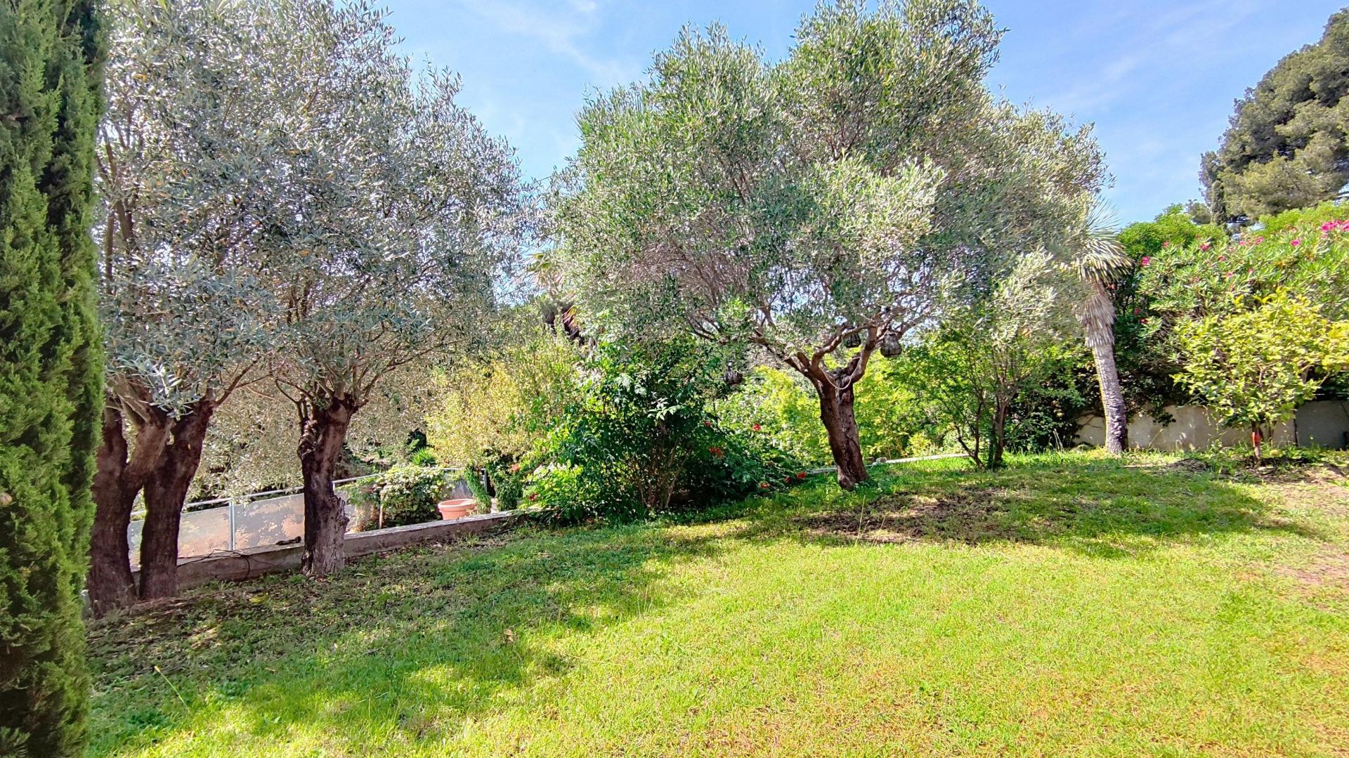 Photo 11 de l'annonce.