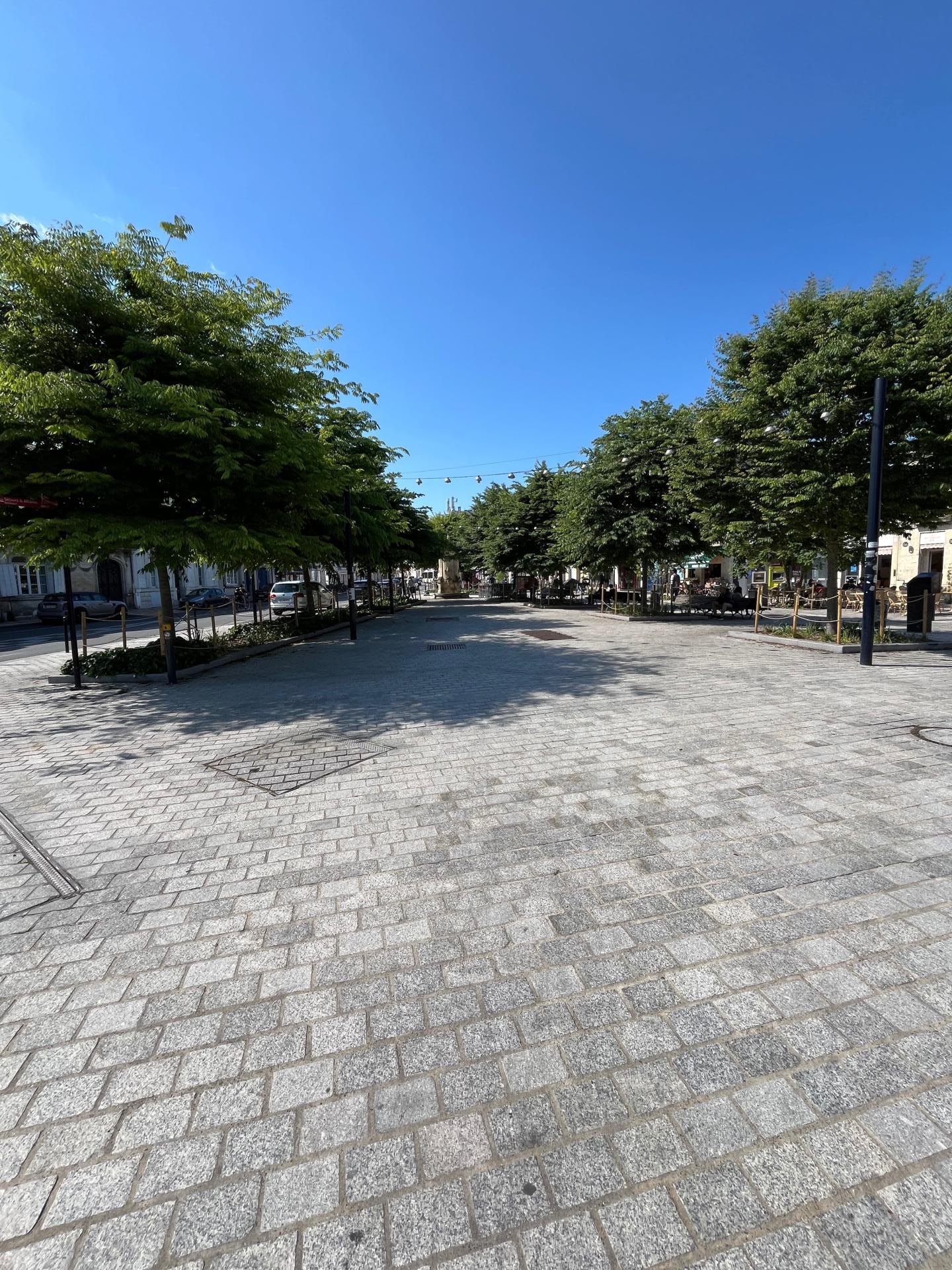 Photo 11 de l'annonce.