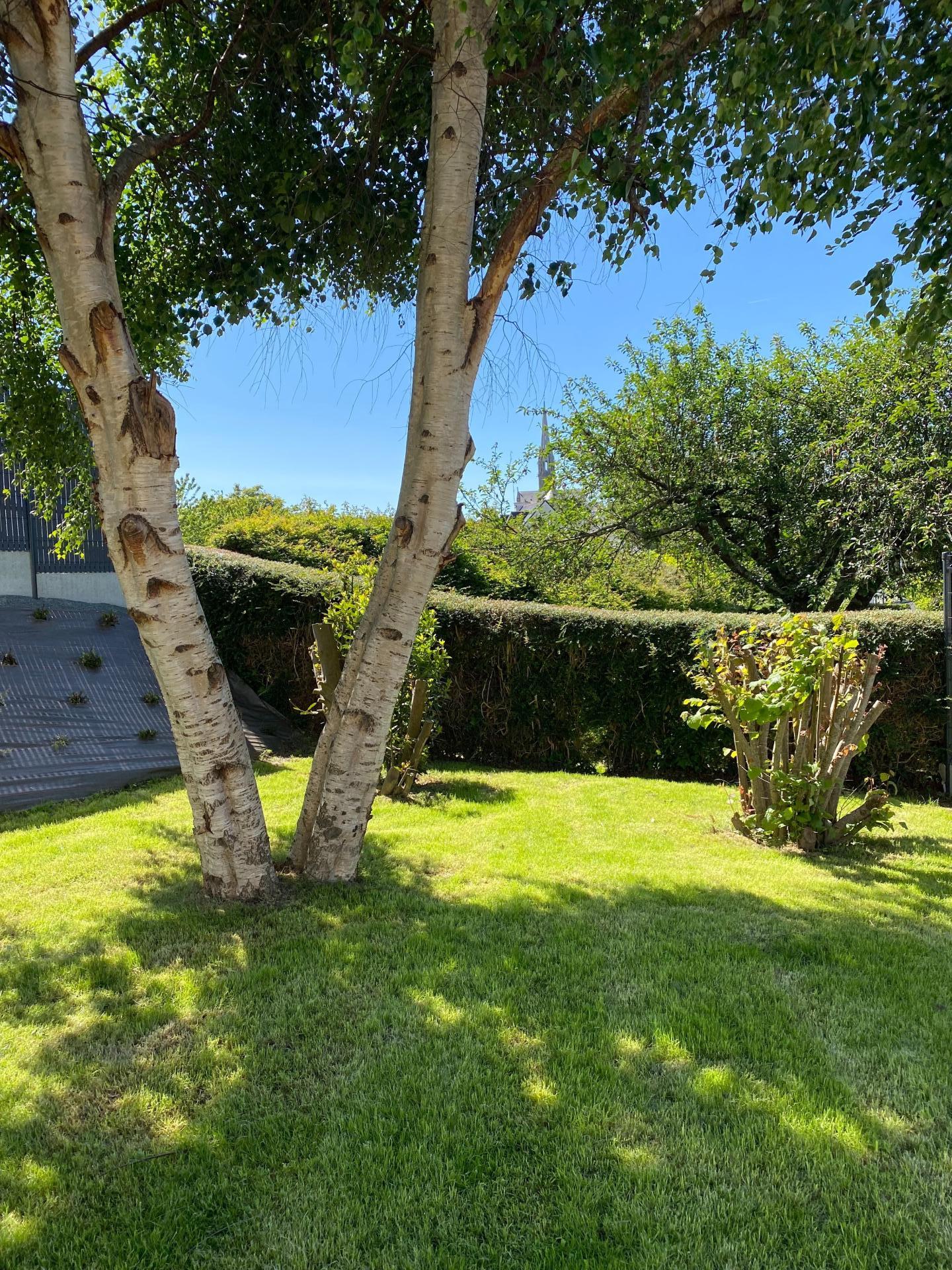 Photo 12 of the listing.