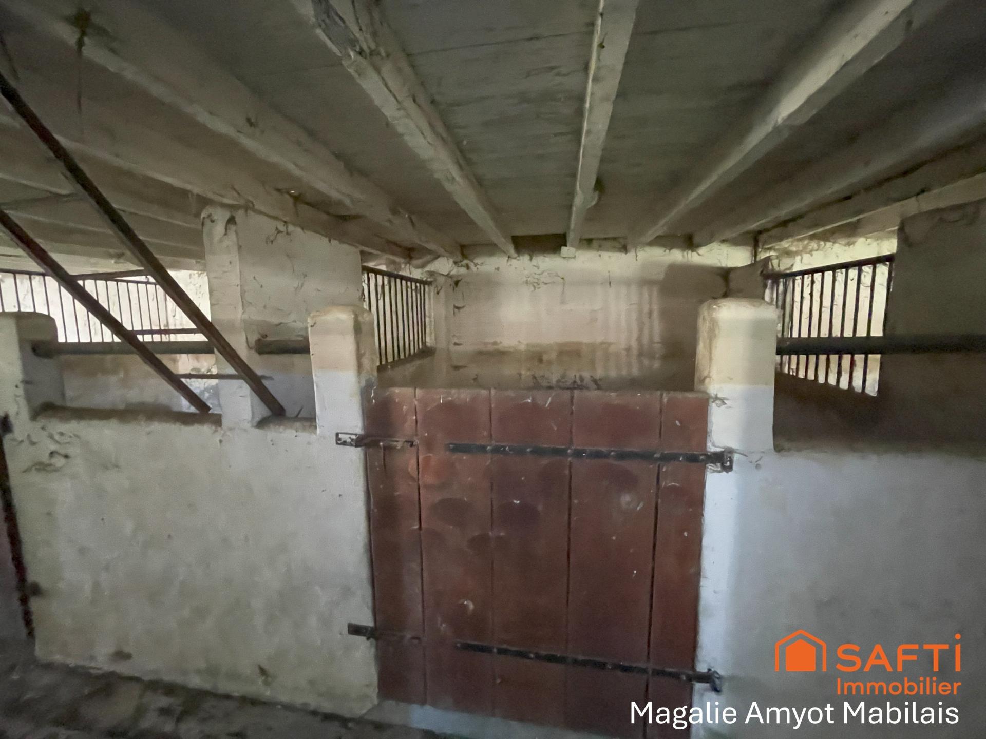 Photo 13 de l'annonce.