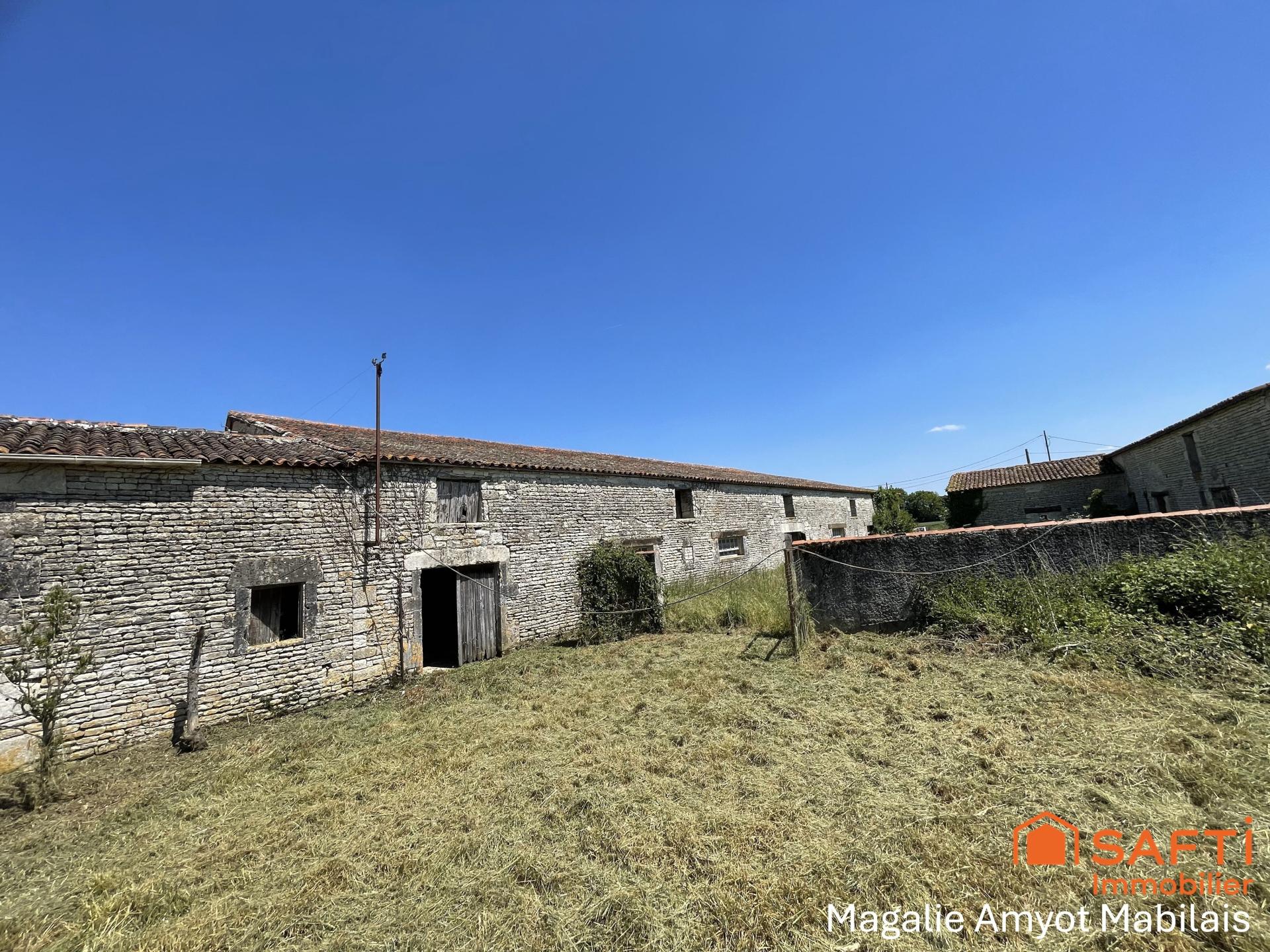 Photo 10 de l'annonce.