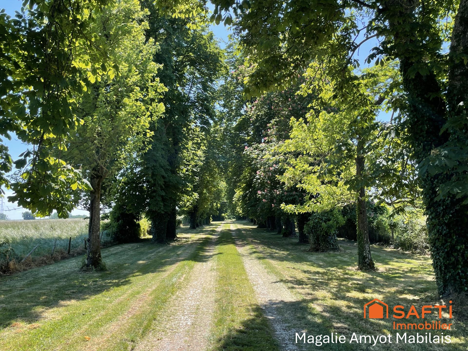 Photo 6 de l'annonce.