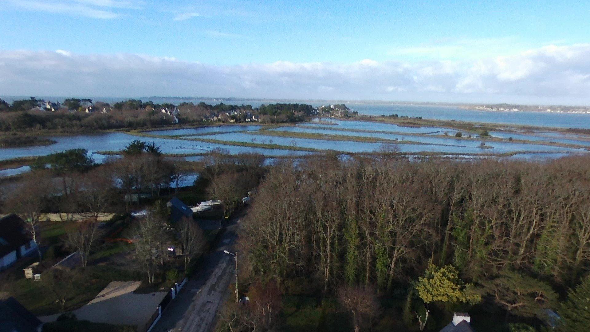 Photo 10 of the listing.