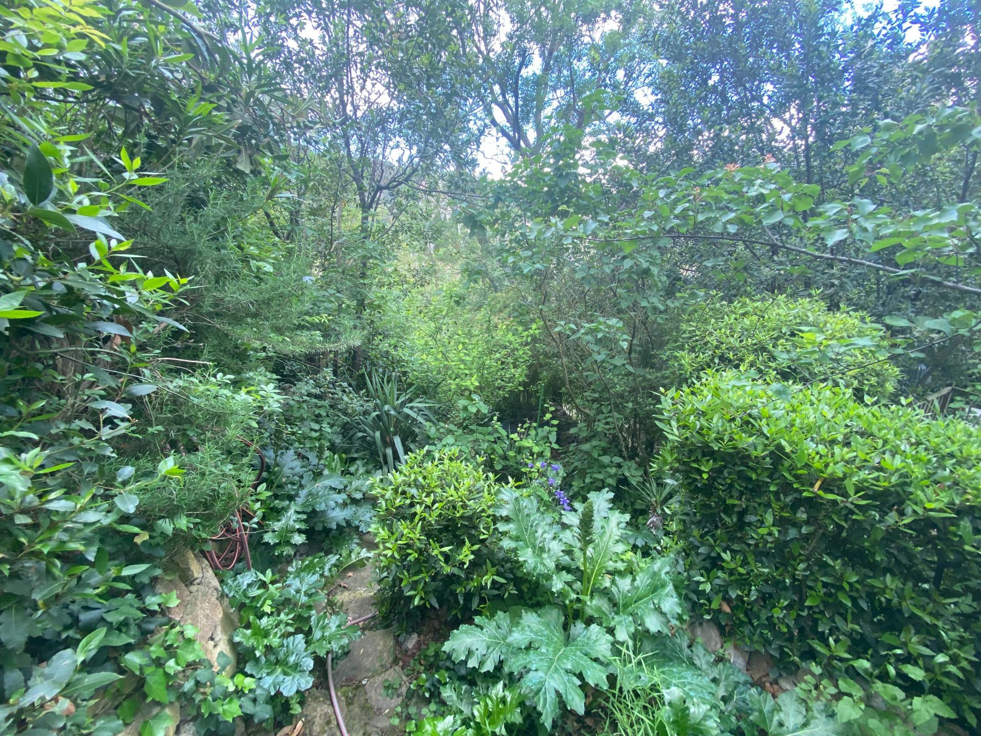 Photo 10 of the listing.