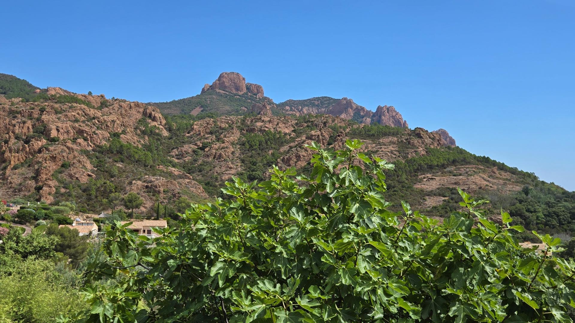 Photo 2 of the listing.