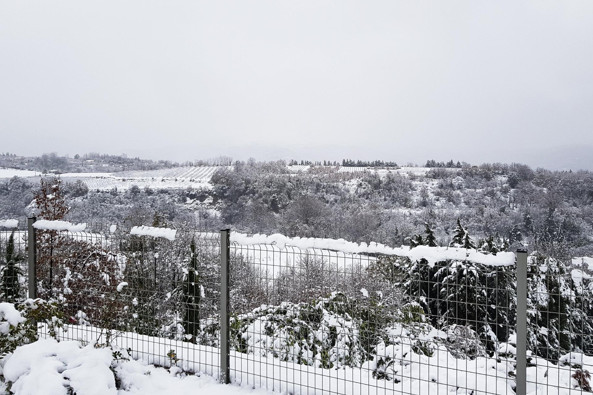 Photo 11 de l'annonce.