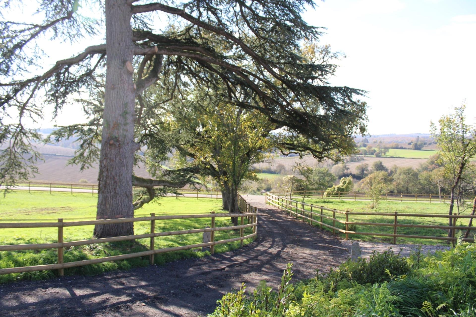 Photo 21 de l'annonce.