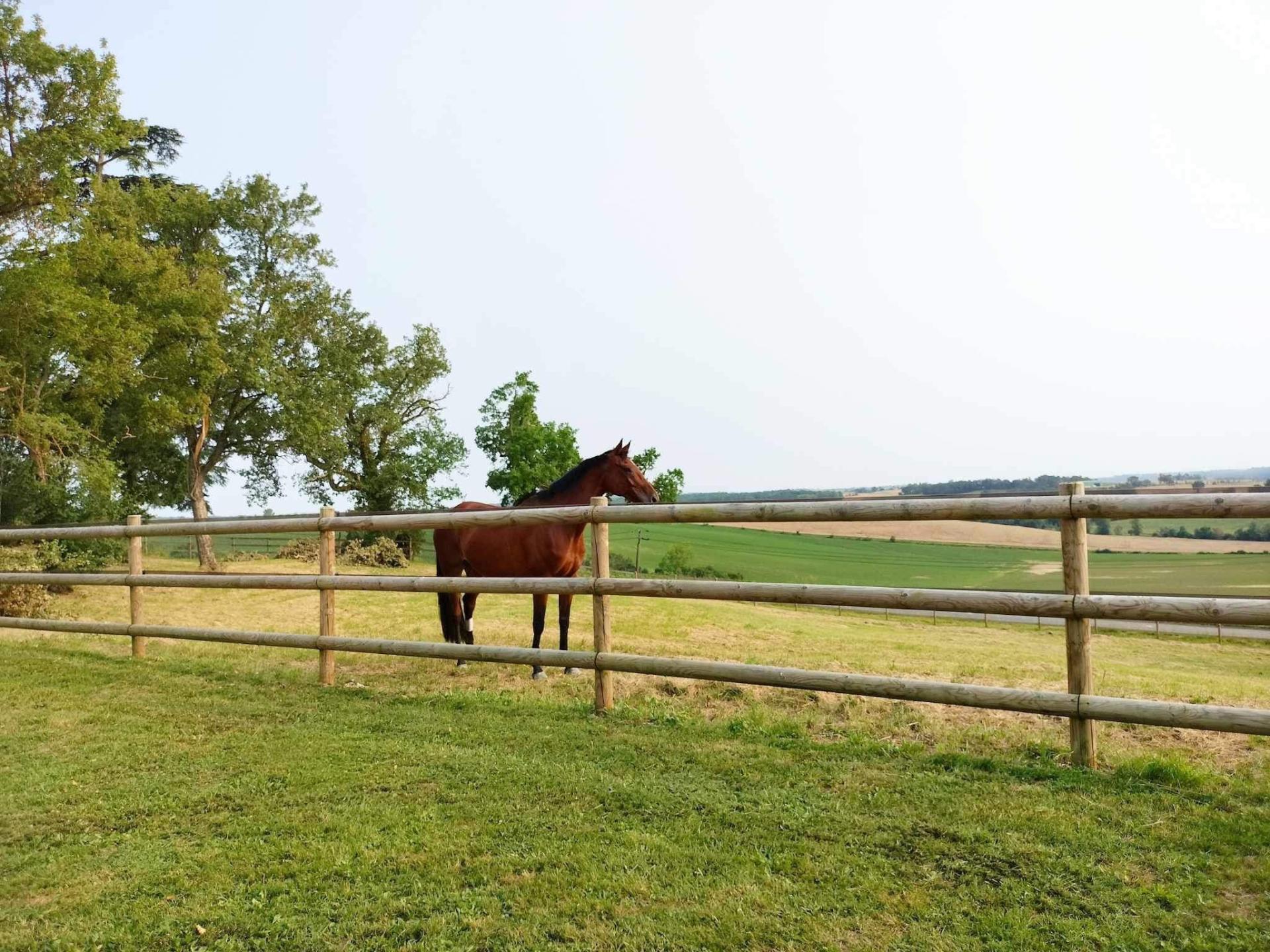 Photo 20 de l'annonce.