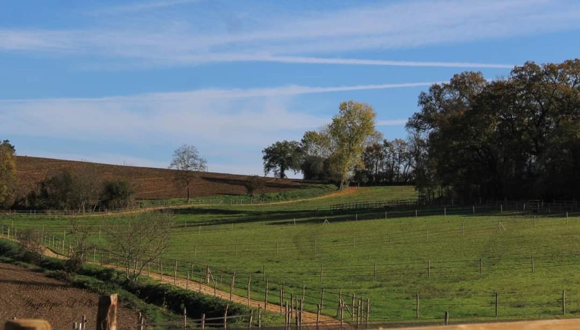 Photo 13 de l'annonce.