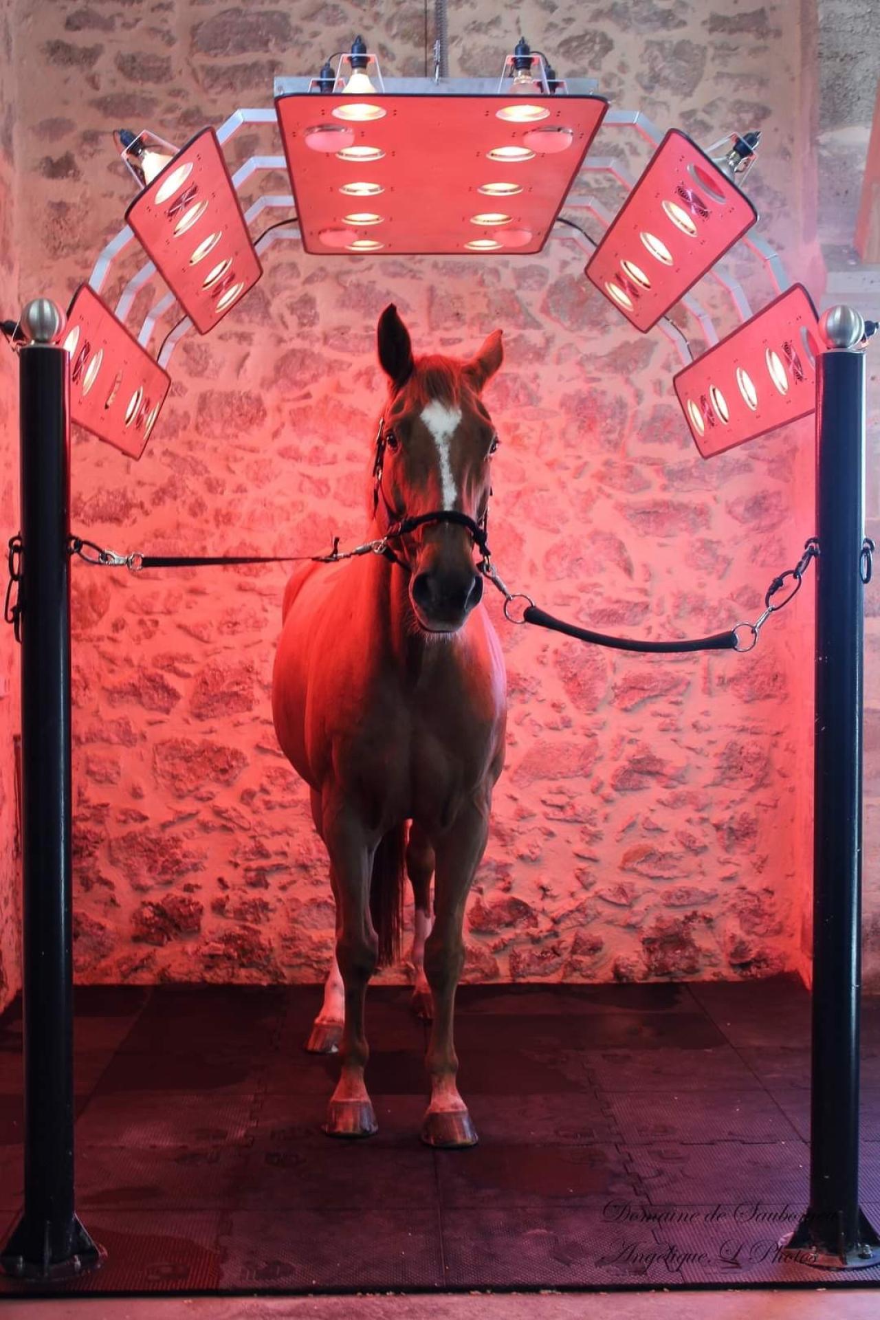 Photo 7 de l'annonce.